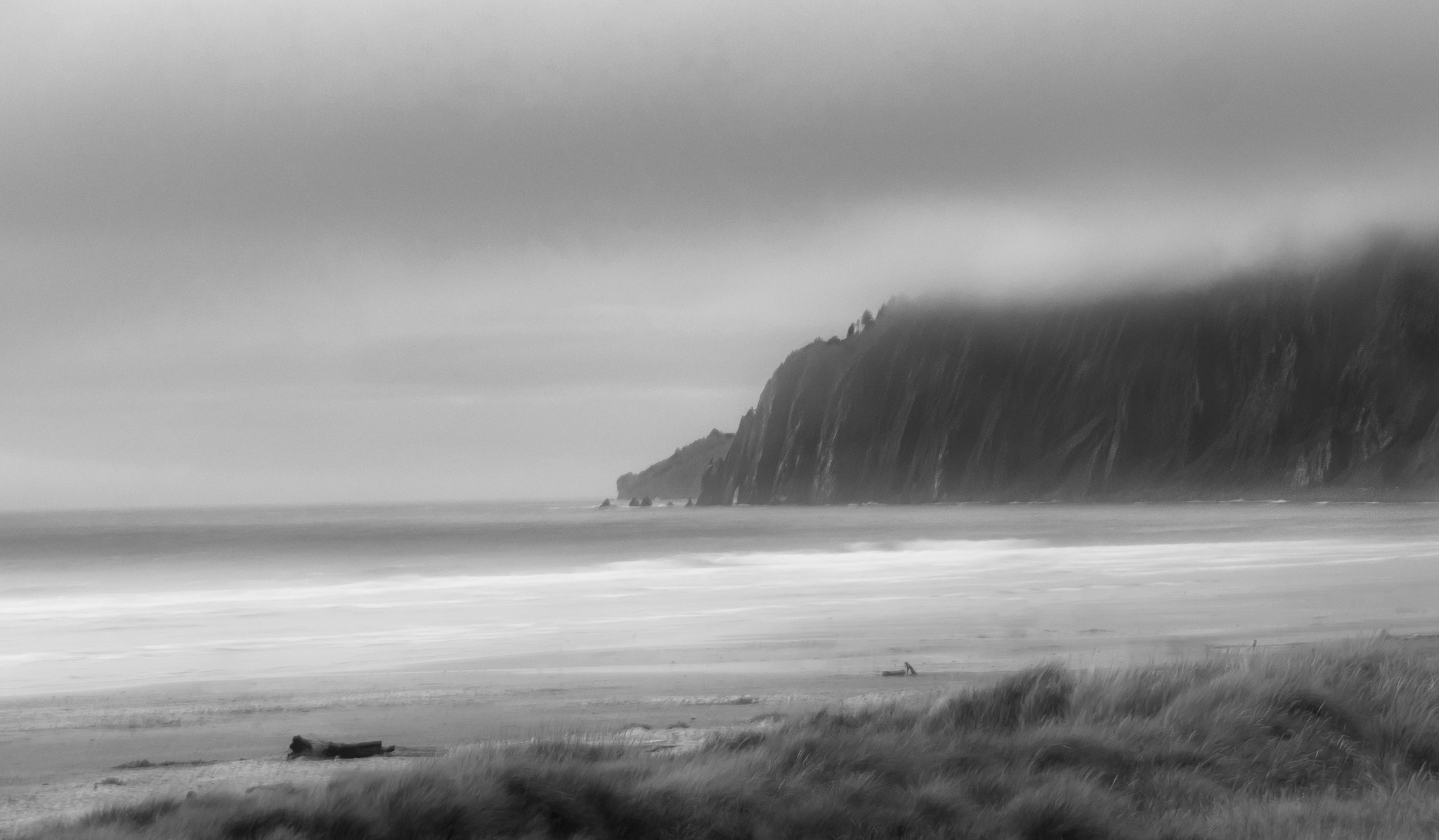 Panasonic Lumix G X Vario 35-100mm F2.8 OIS sample photo. Manzanita, or photography