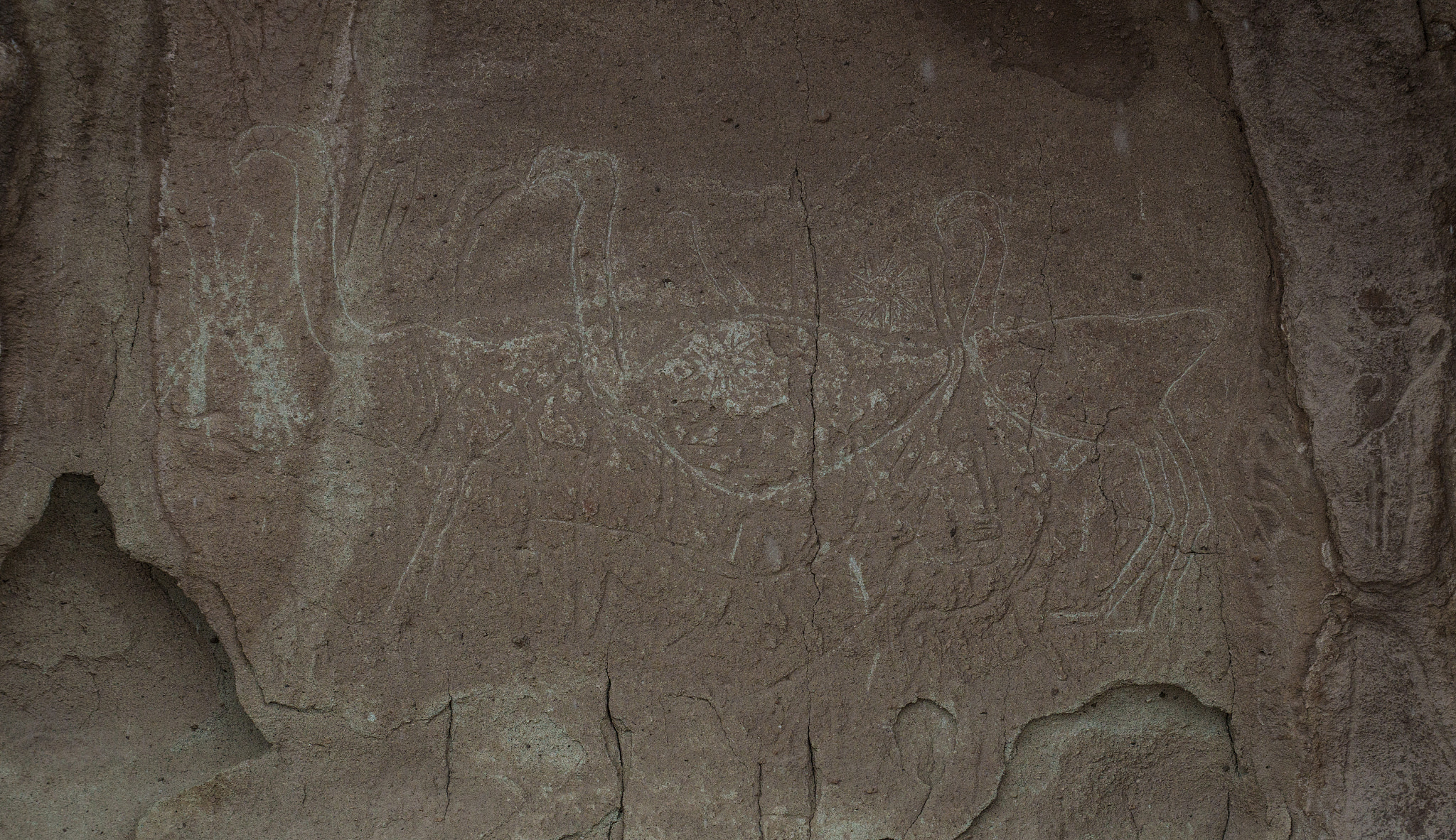 Sony SLT-A58 sample photo. Carvings of 3 ostrich on a stone! photography