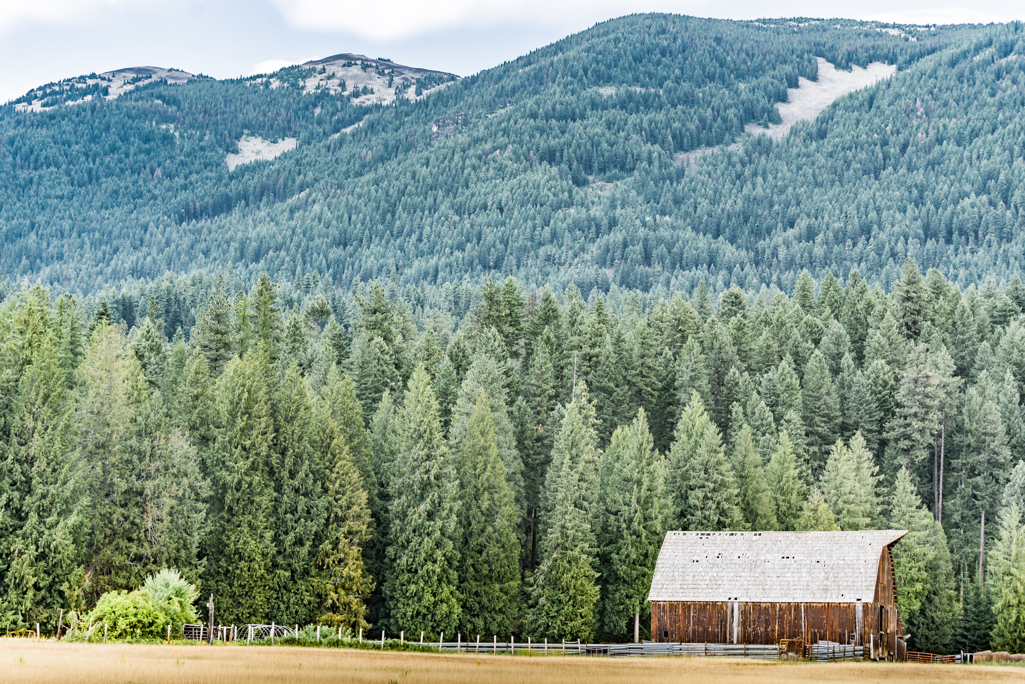 Nikon D600 sample photo. Glacier national park-montana photography