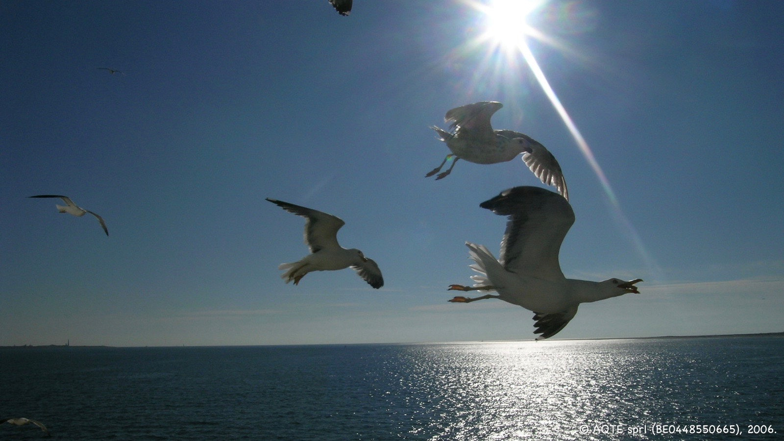 Nikon E5400 sample photo. Night flight to texel photography