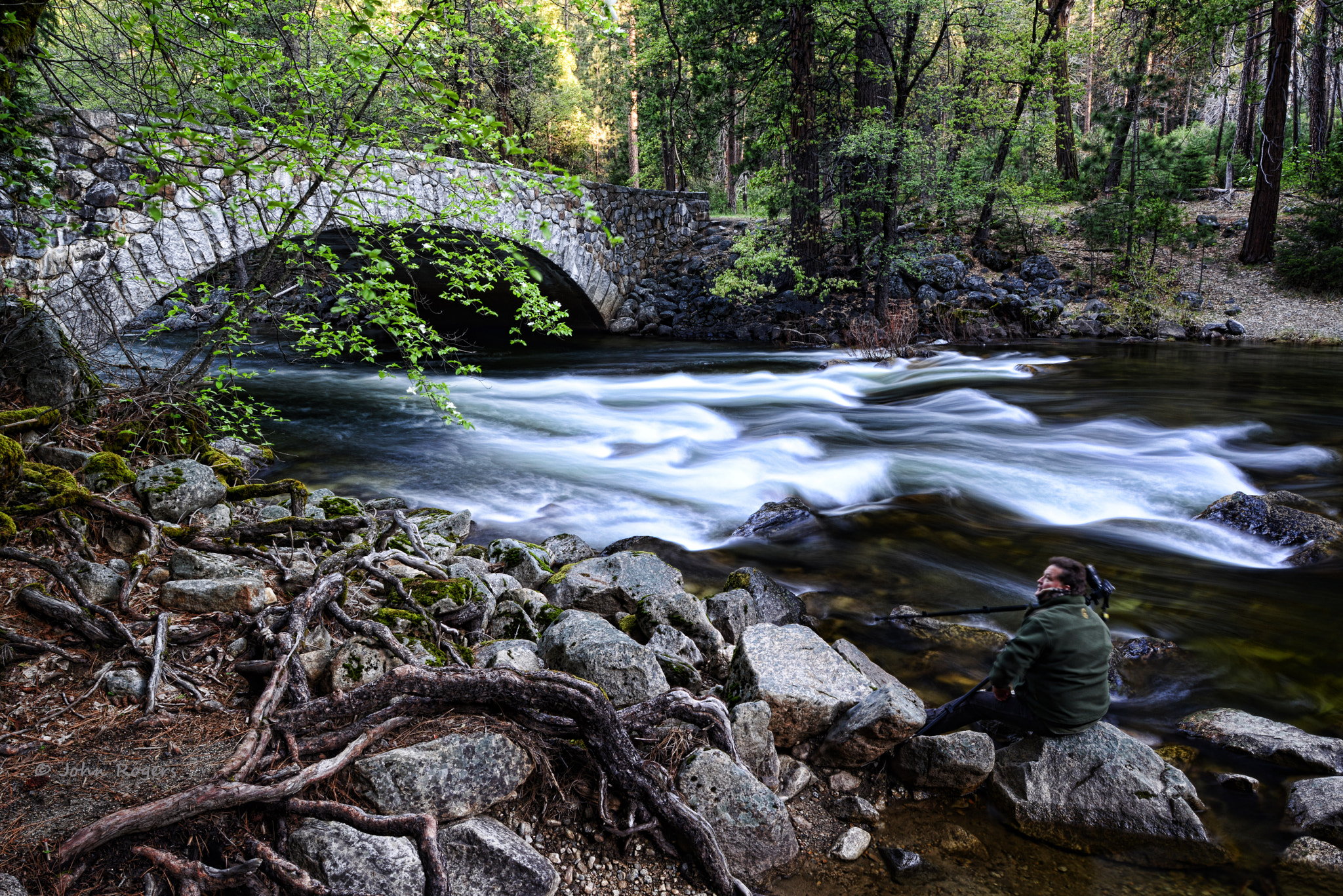 Nikon D800 + Nikon AF Nikkor 28mm F2.8D sample photo. Yosemite bridge with dixon photography