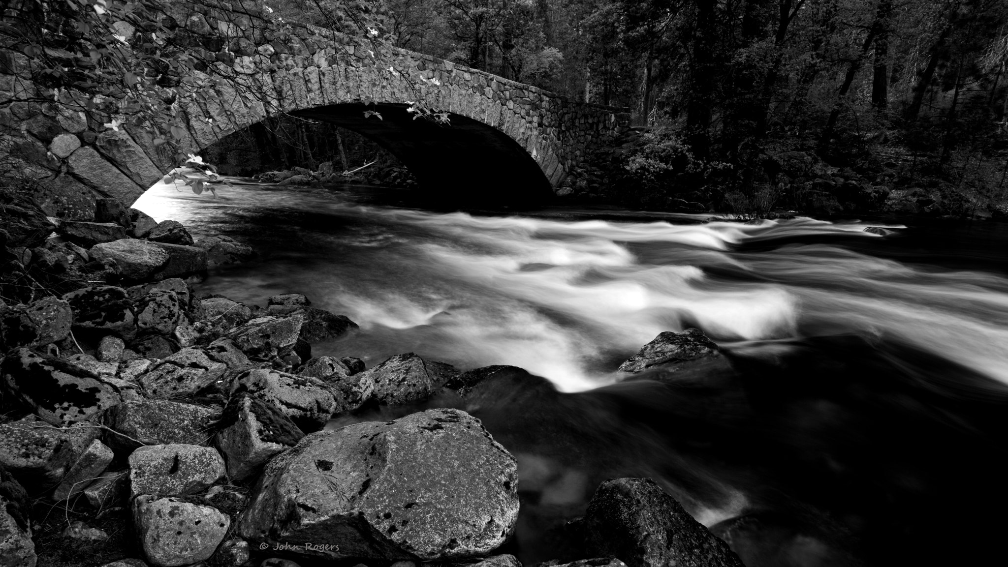 Nikon D800 + AF Micro-Nikkor 105mm f/2.8 sample photo. Yosemite bridge b&w photography