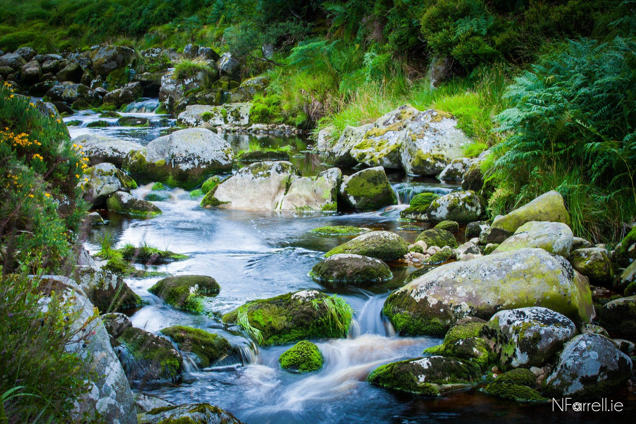 Canon EF 16-35mm F4L IS USM sample photo. Sally gap photography