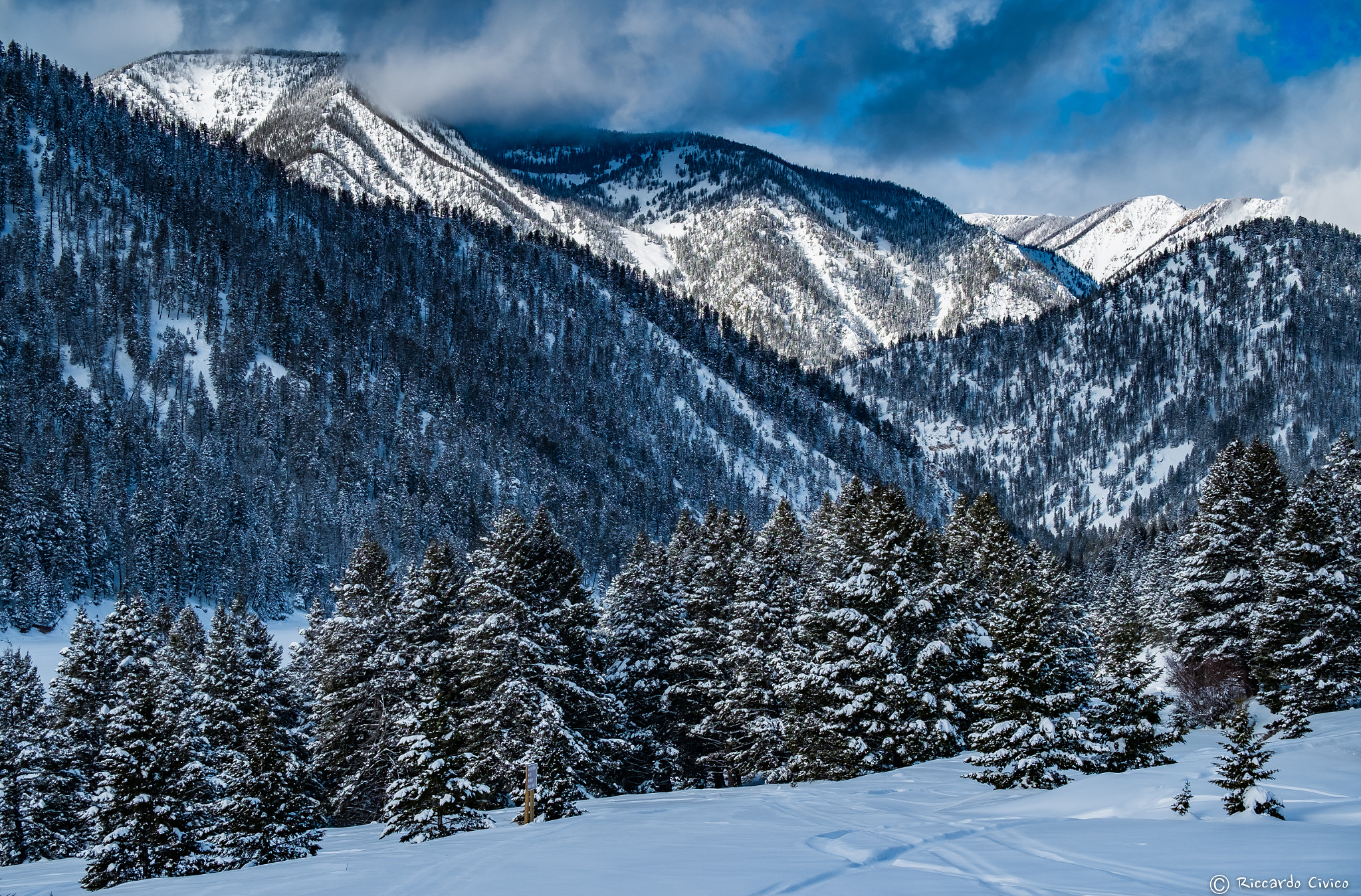 Fujifilm X-E1 + Fujifilm XC 50-230mm F4.5-6.7 OIS sample photo. Winter trees photography