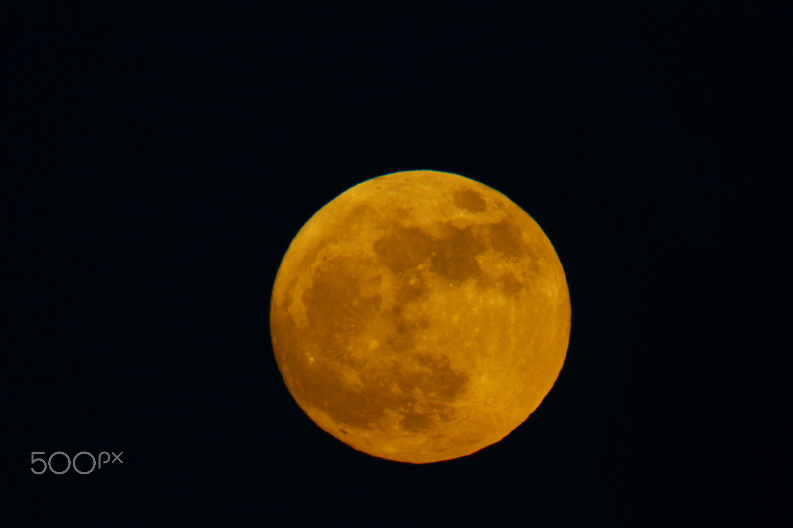 Canon EF 400mm F2.8L IS USM sample photo. Lrae8100.jpg photography