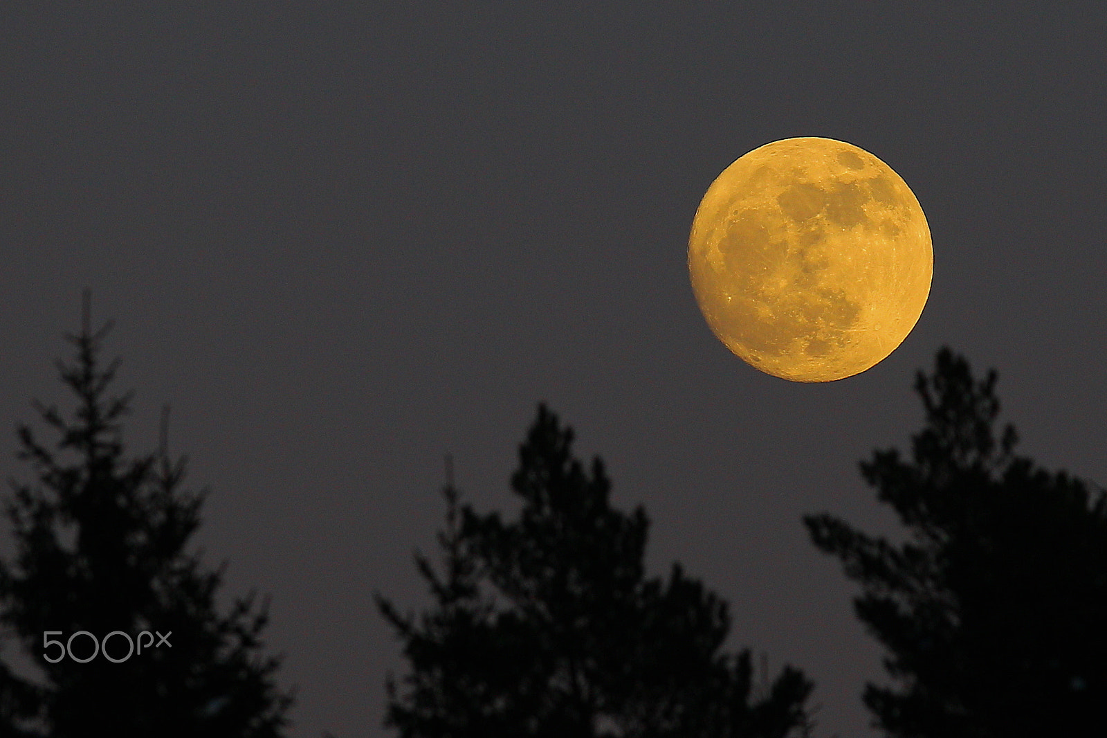 Canon EF 300mm F2.8L IS USM sample photo. Lrag5218-1.jpg photography