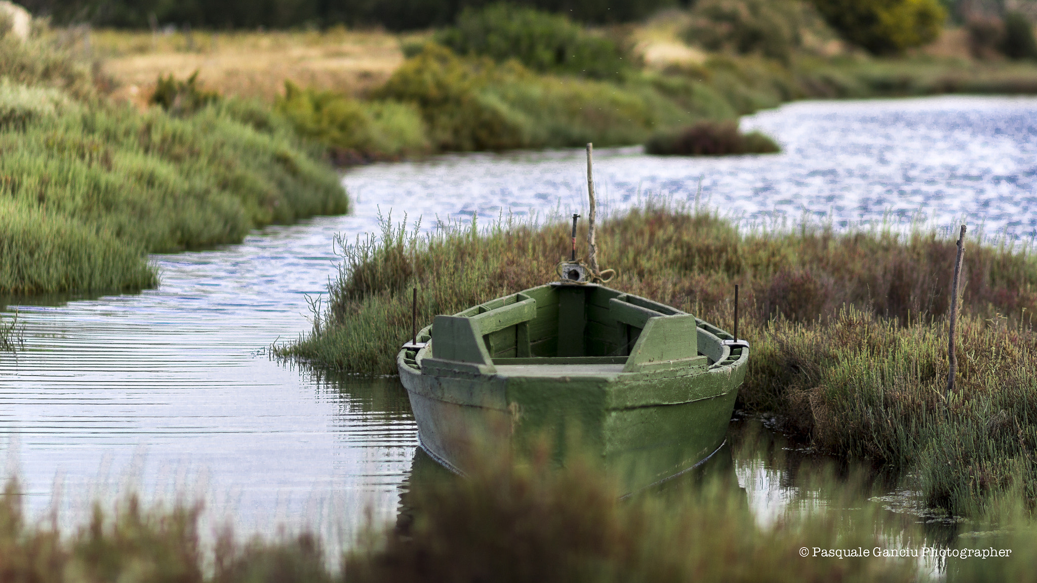 Canon EF 100mm F2.0 USM sample photo. Barchetta verde photography