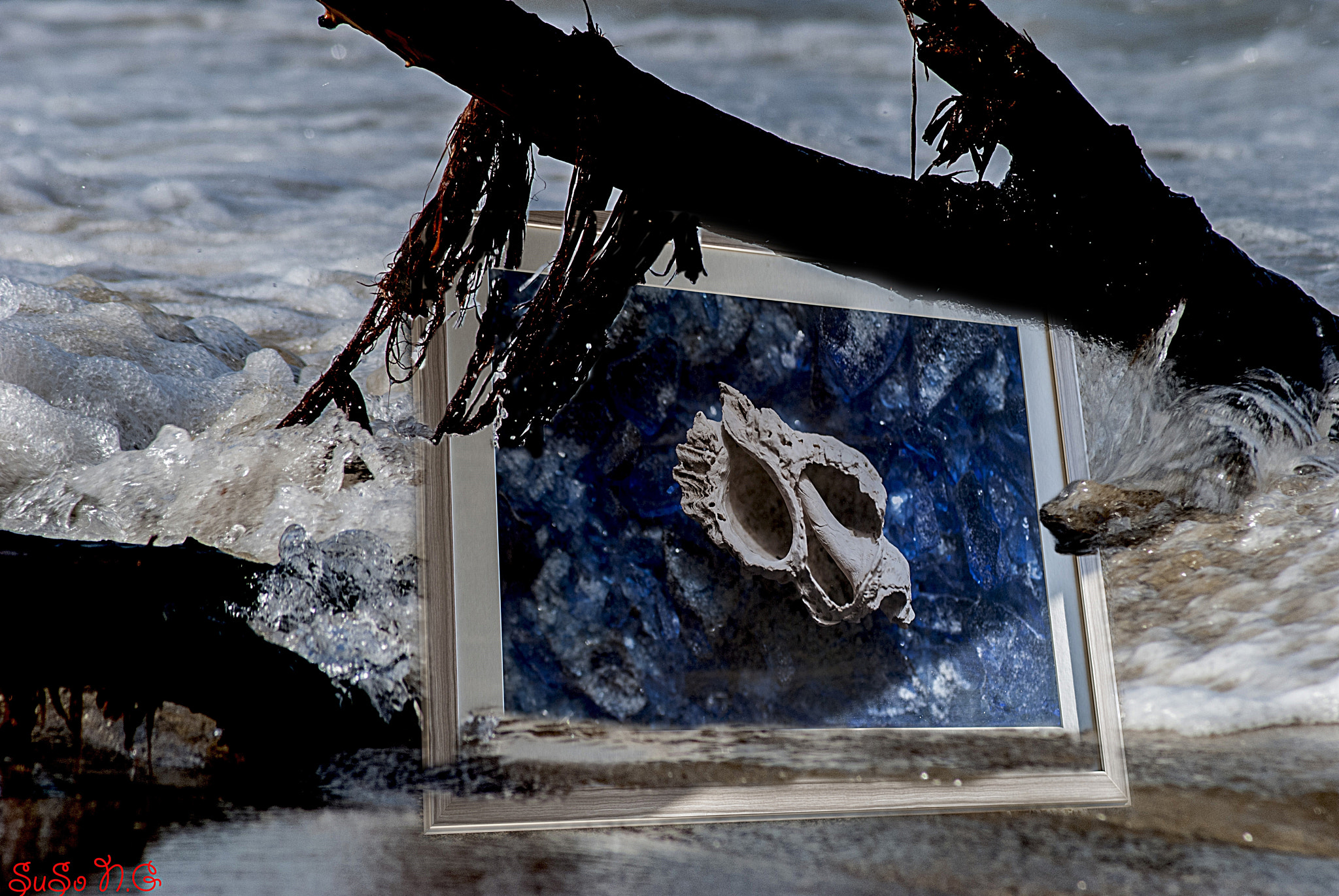 Nikon D3000 sample photo. Arte photography