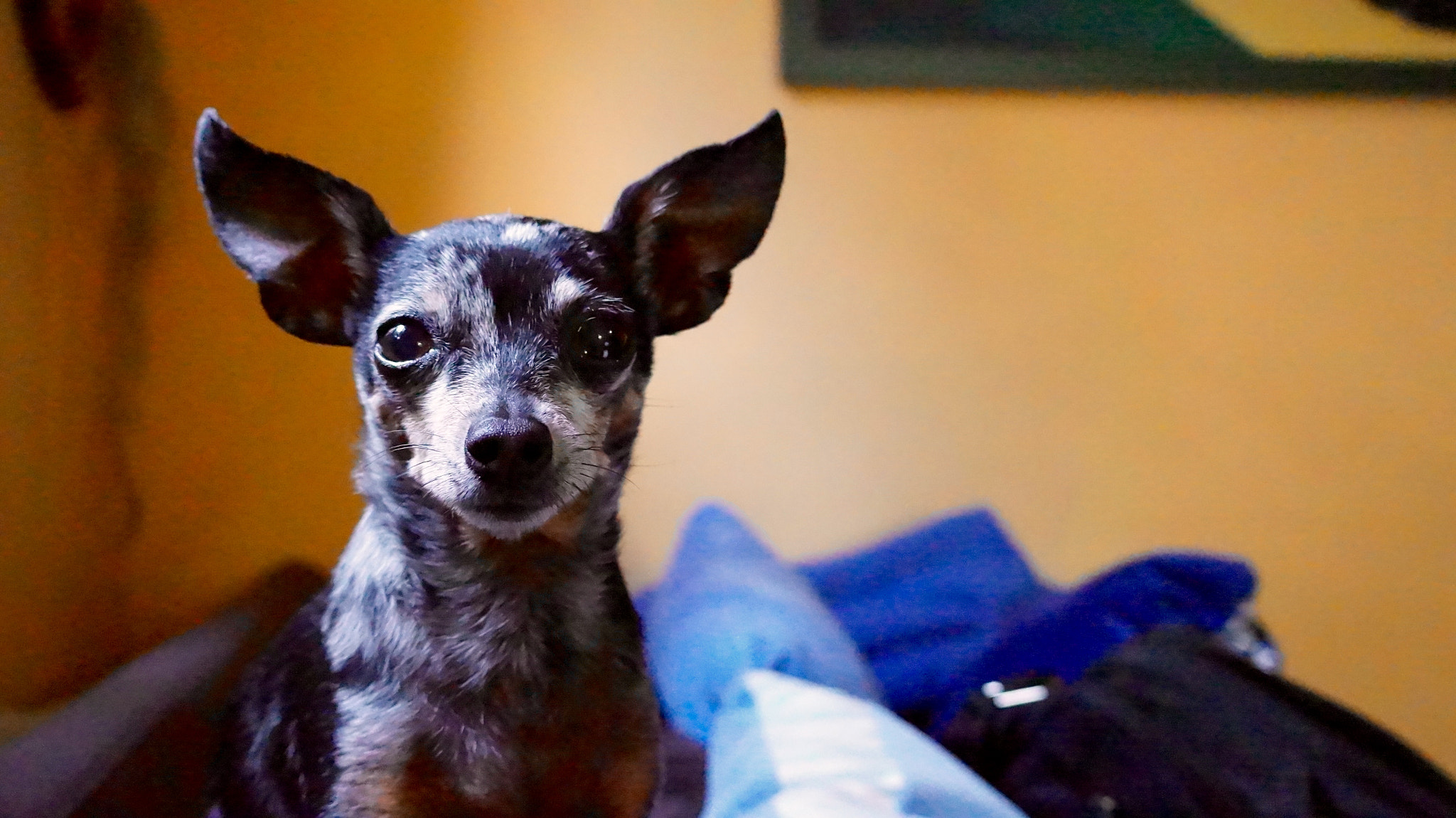 Sony E 18-50mm F4-5.6 sample photo. Portrait photography