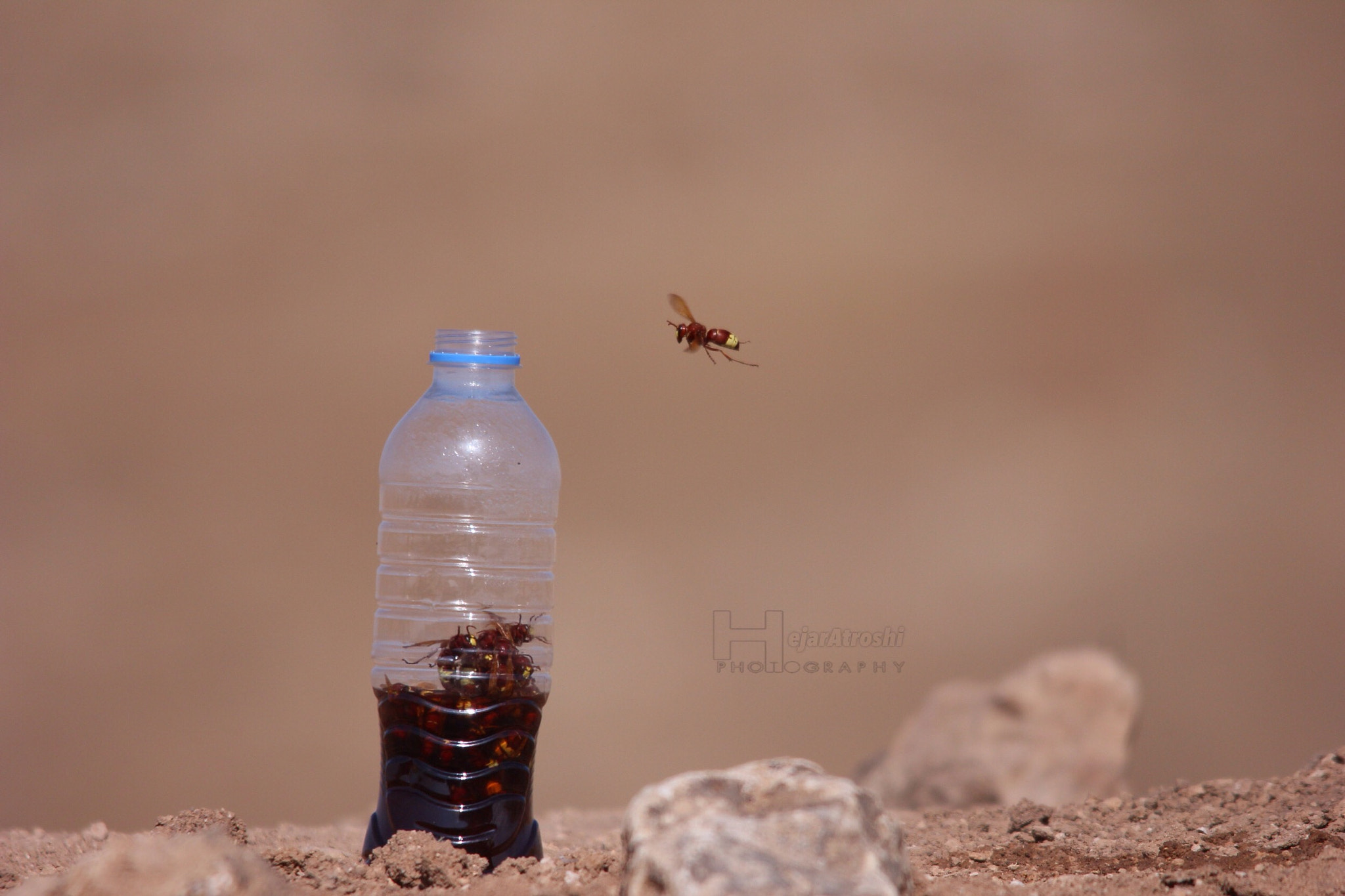 Canon 150-500mm sample photo