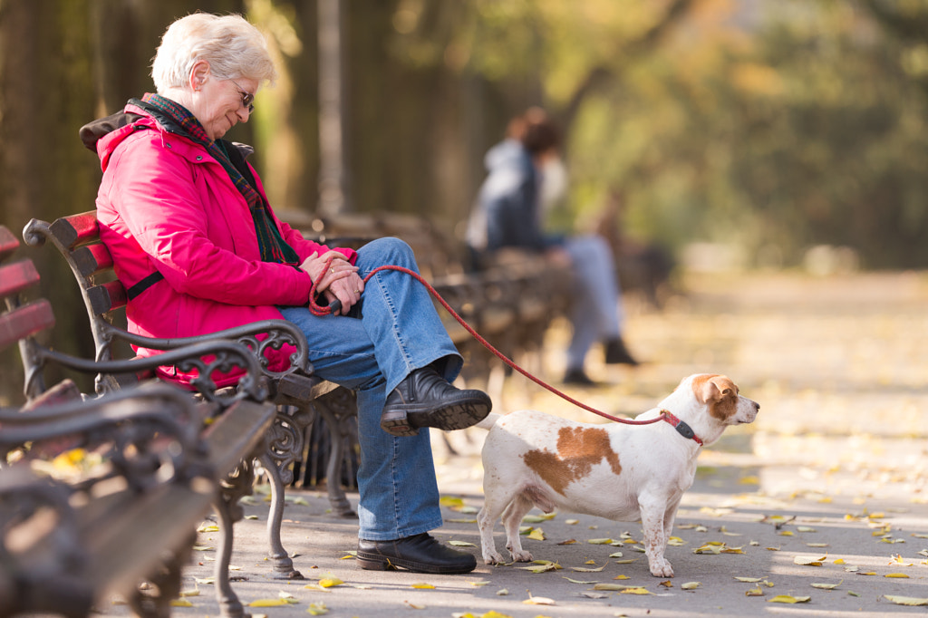 Old woman with a dog by dusan kostic on 500px.com