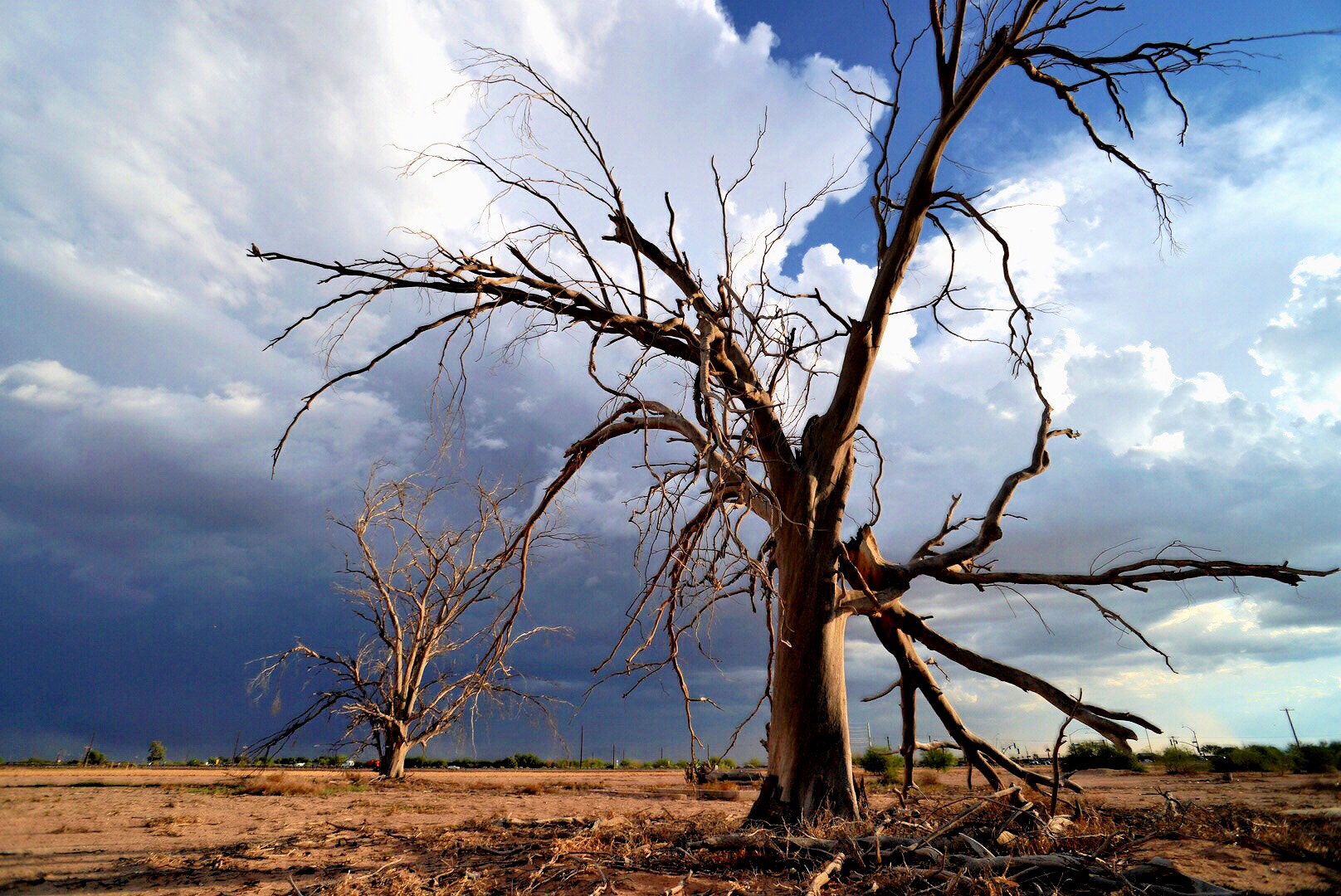 Mother Nature kicked me off the playground, told me to go home and edit