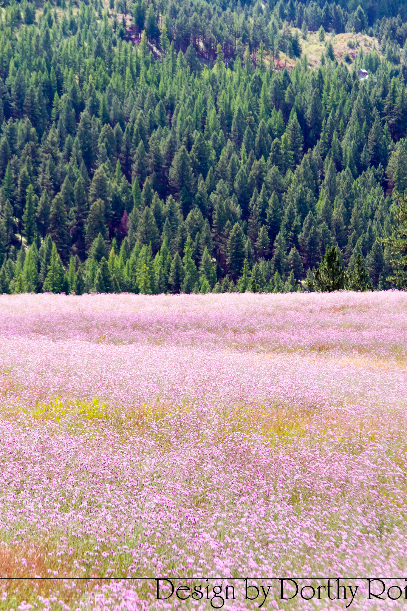 Pentax K-1 sample photo. Birthday road trip photography