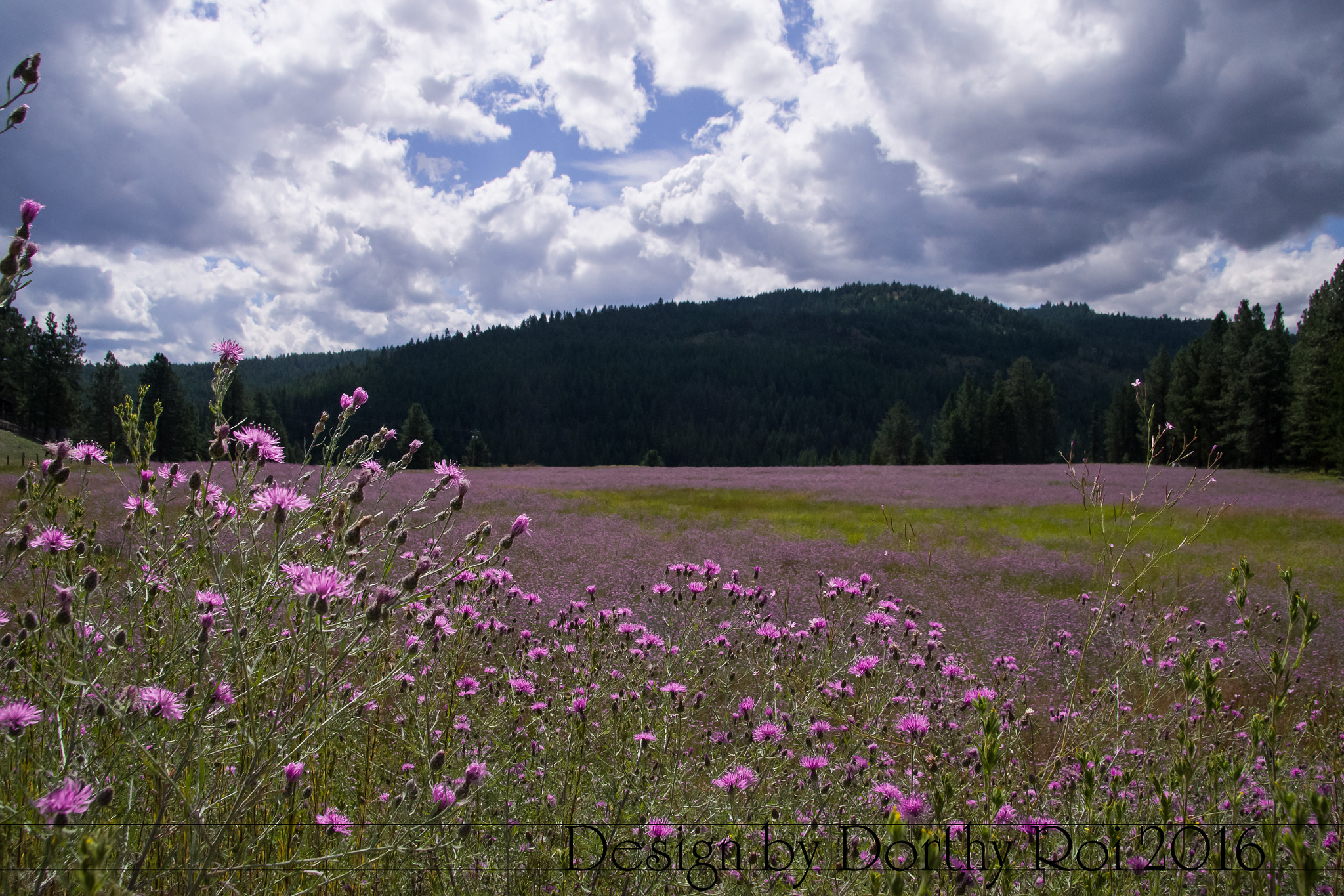 Pentax K-1 sample photo. Birthday road trip photography