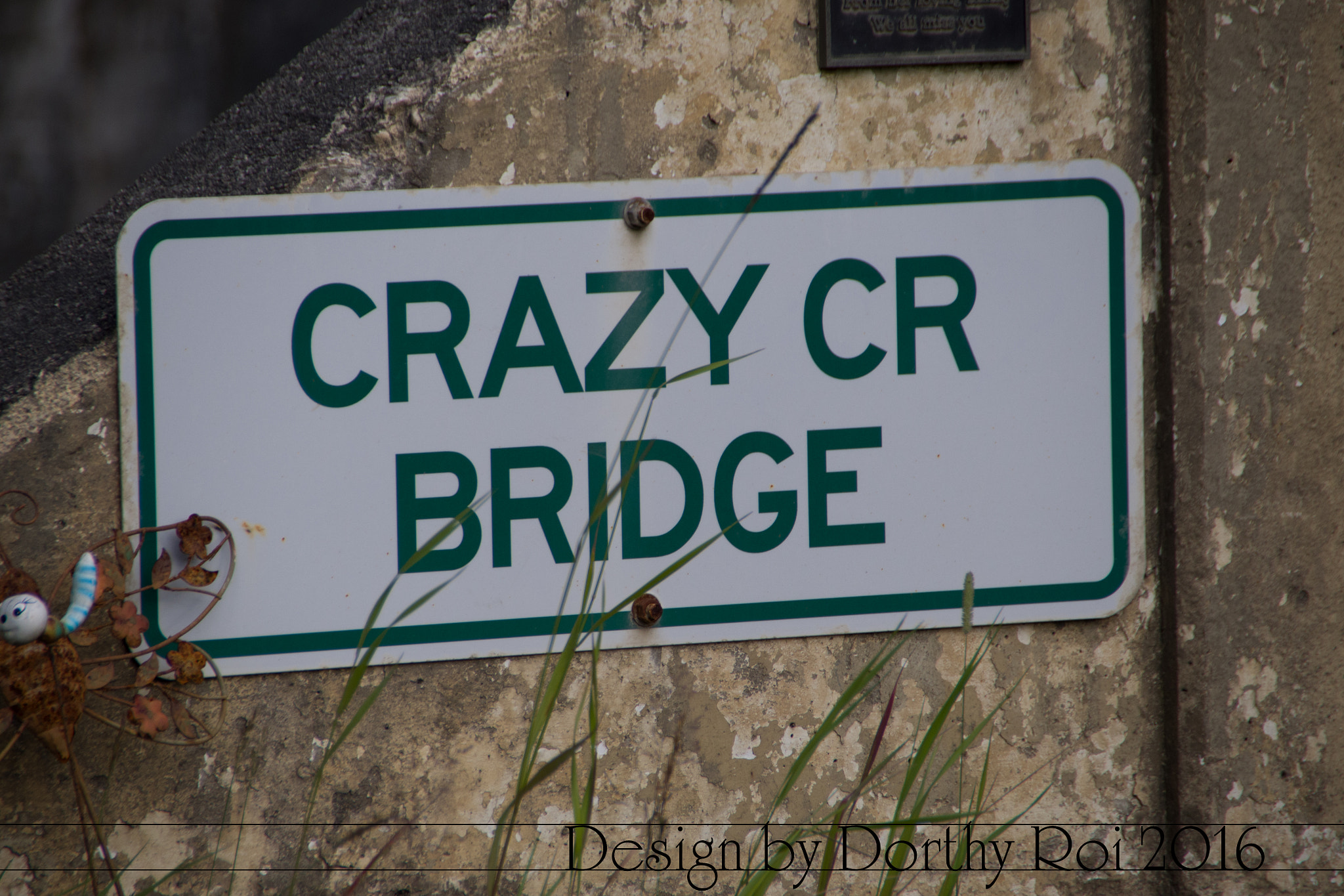 Pentax K-1 sample photo. Birthday road trip photography