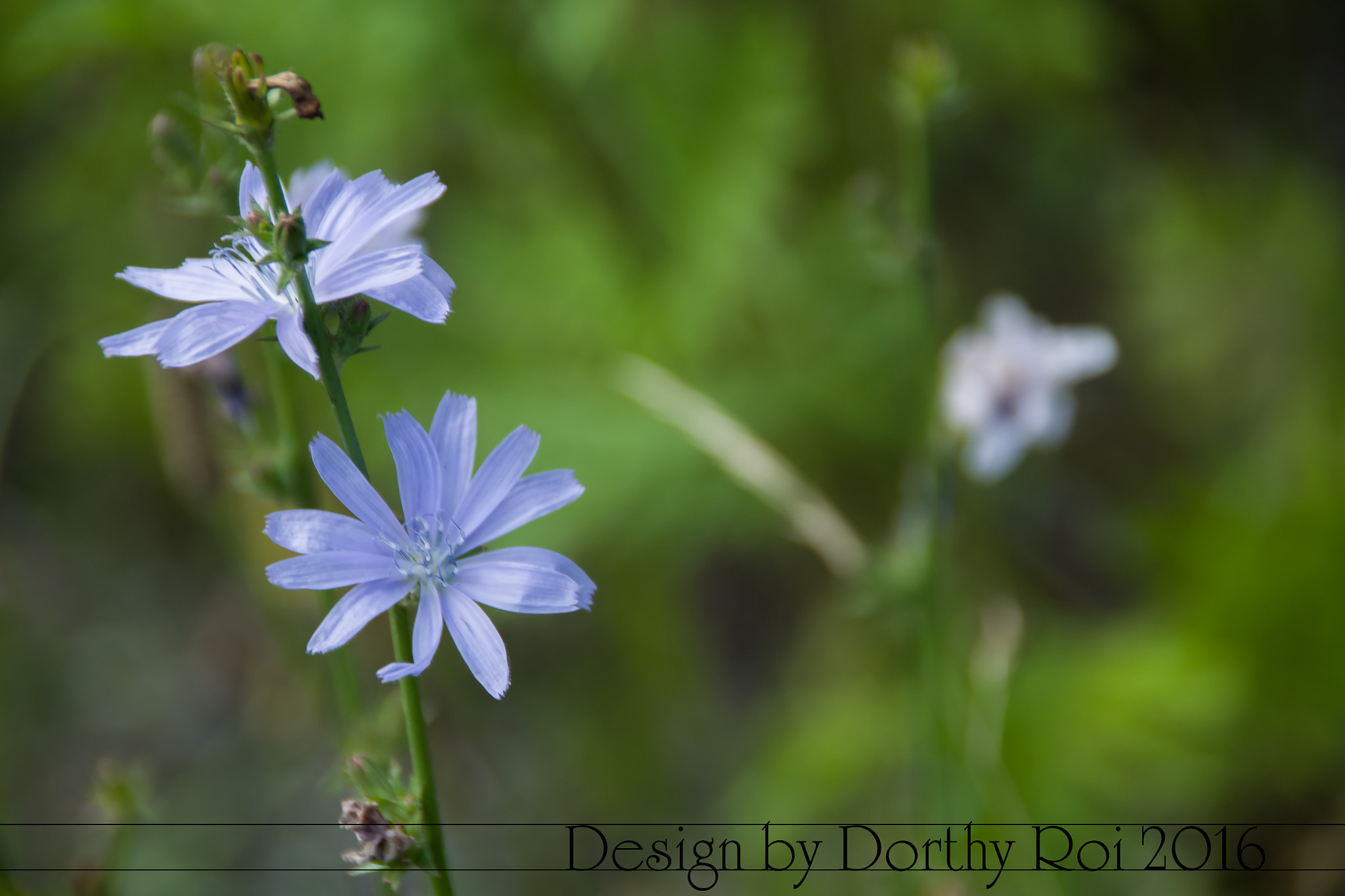 Pentax K-1 sample photo. Birthday road trip photography