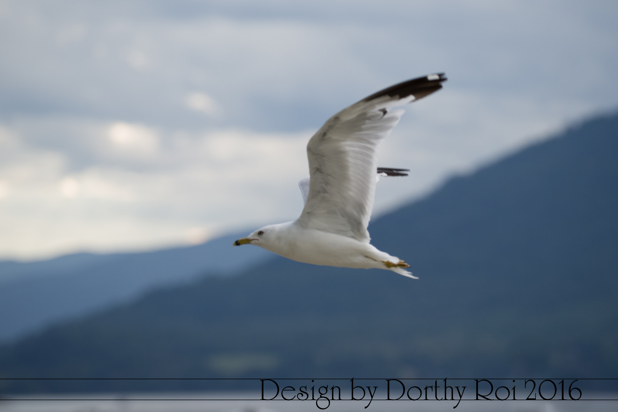 Pentax K-1 sample photo. Birthday road trip photography