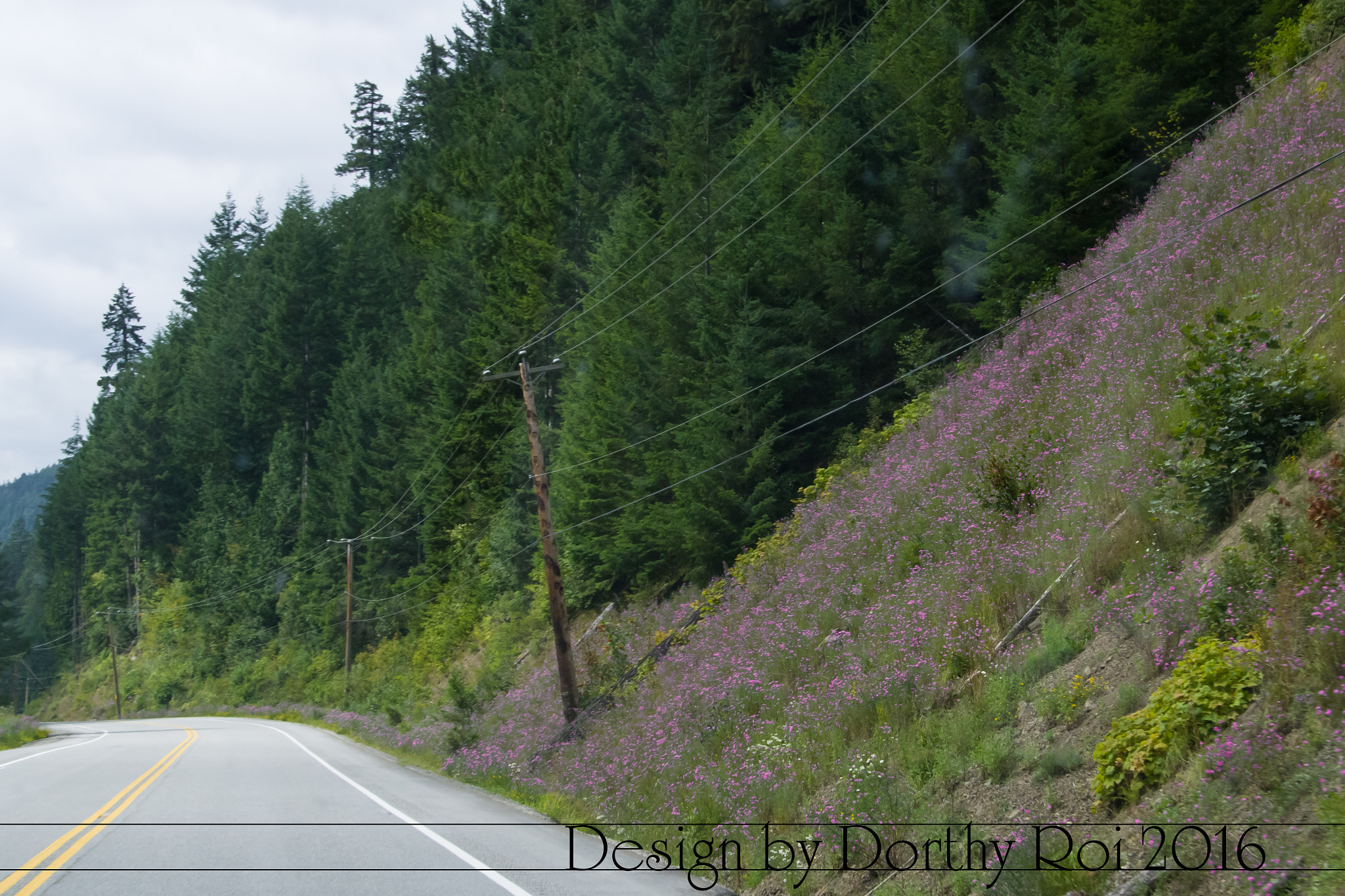 Pentax K-1 sample photo. Birthday road trip photography