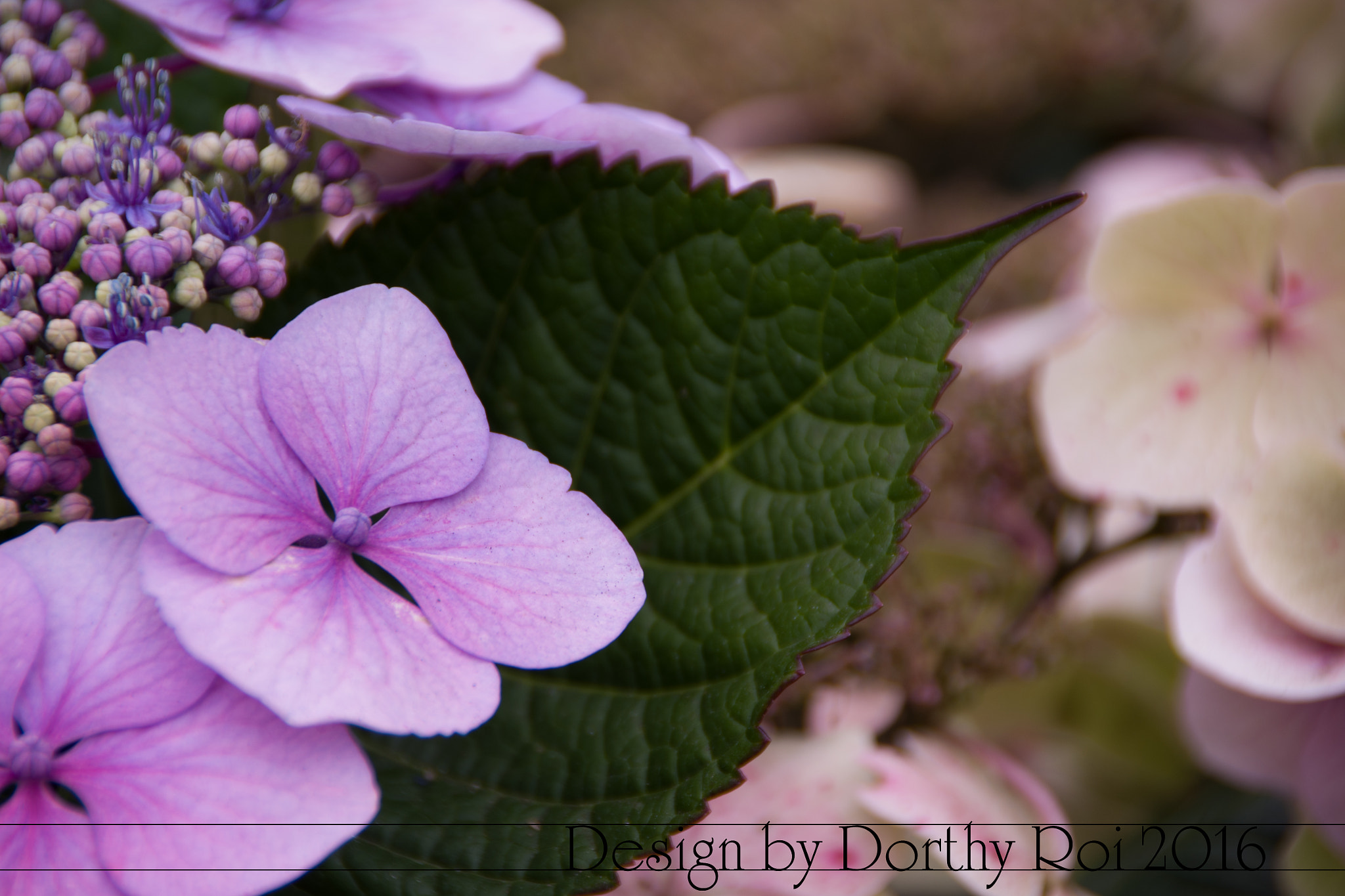 Pentax K-1 sample photo. Birthday road trip photography