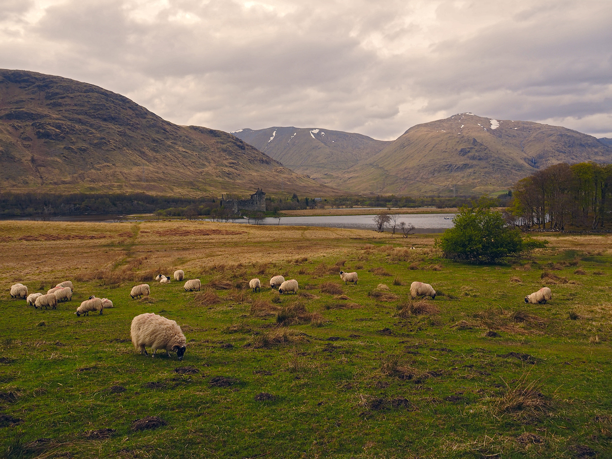 Olympus OM-D E-M1 sample photo. Kilchurn castle on a rocky peninsula at the northeastern end of loch awe, in argyll and bute,... photography