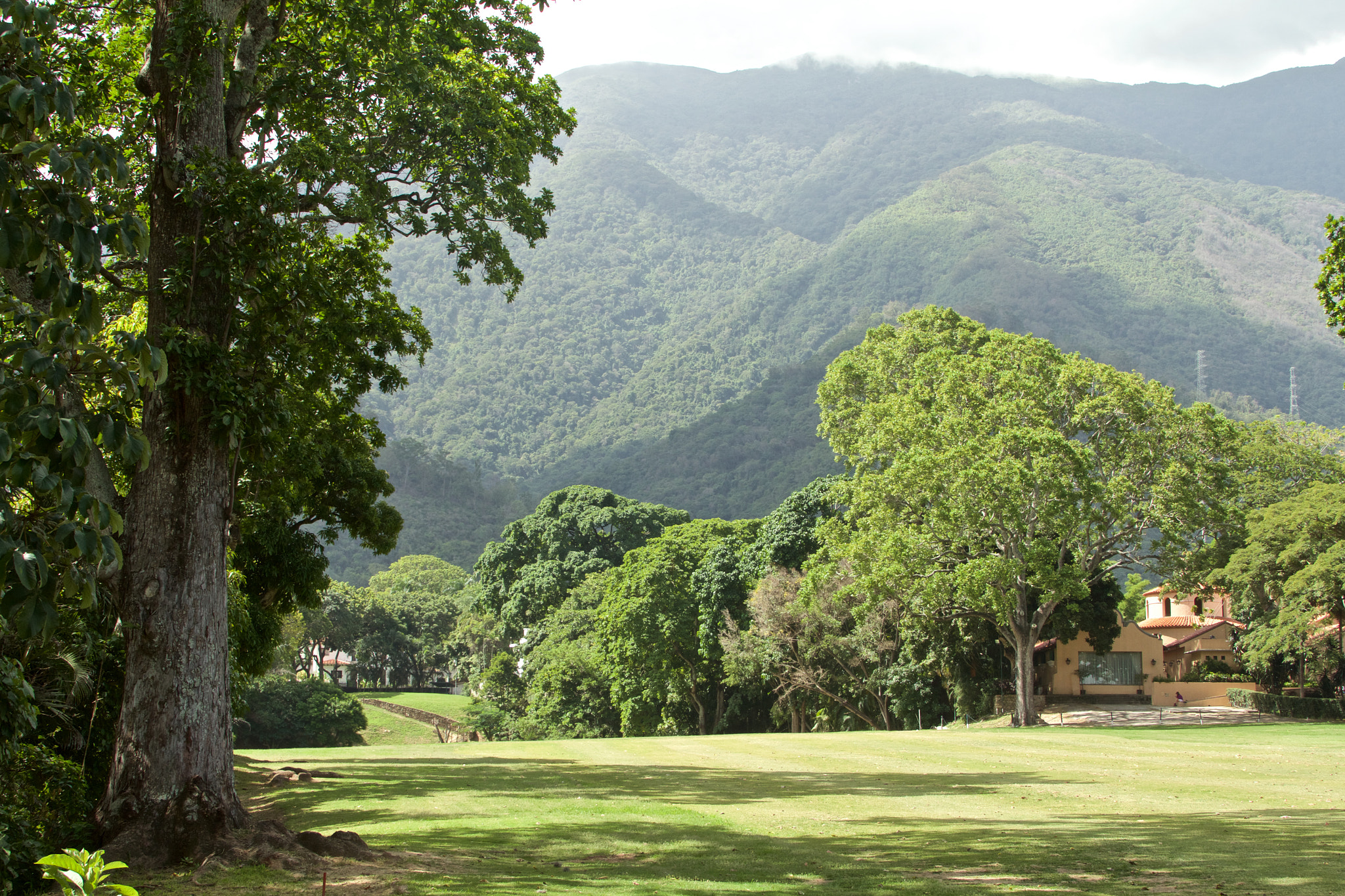 Canon EF 28-300mm F3.5-5.6L IS USM sample photo. Caracas country club photography