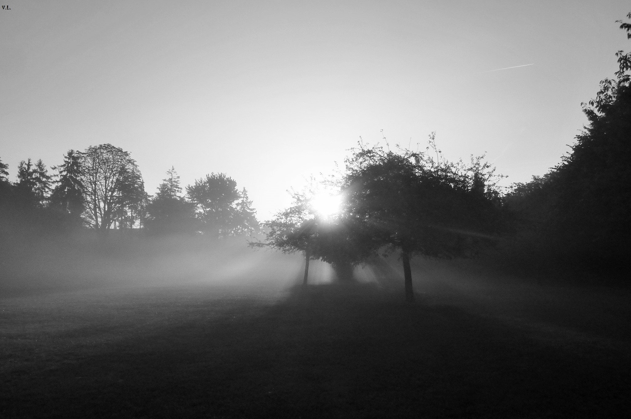 Panasonic DMC-ZS1 sample photo. Parc de sceaux 2 photography