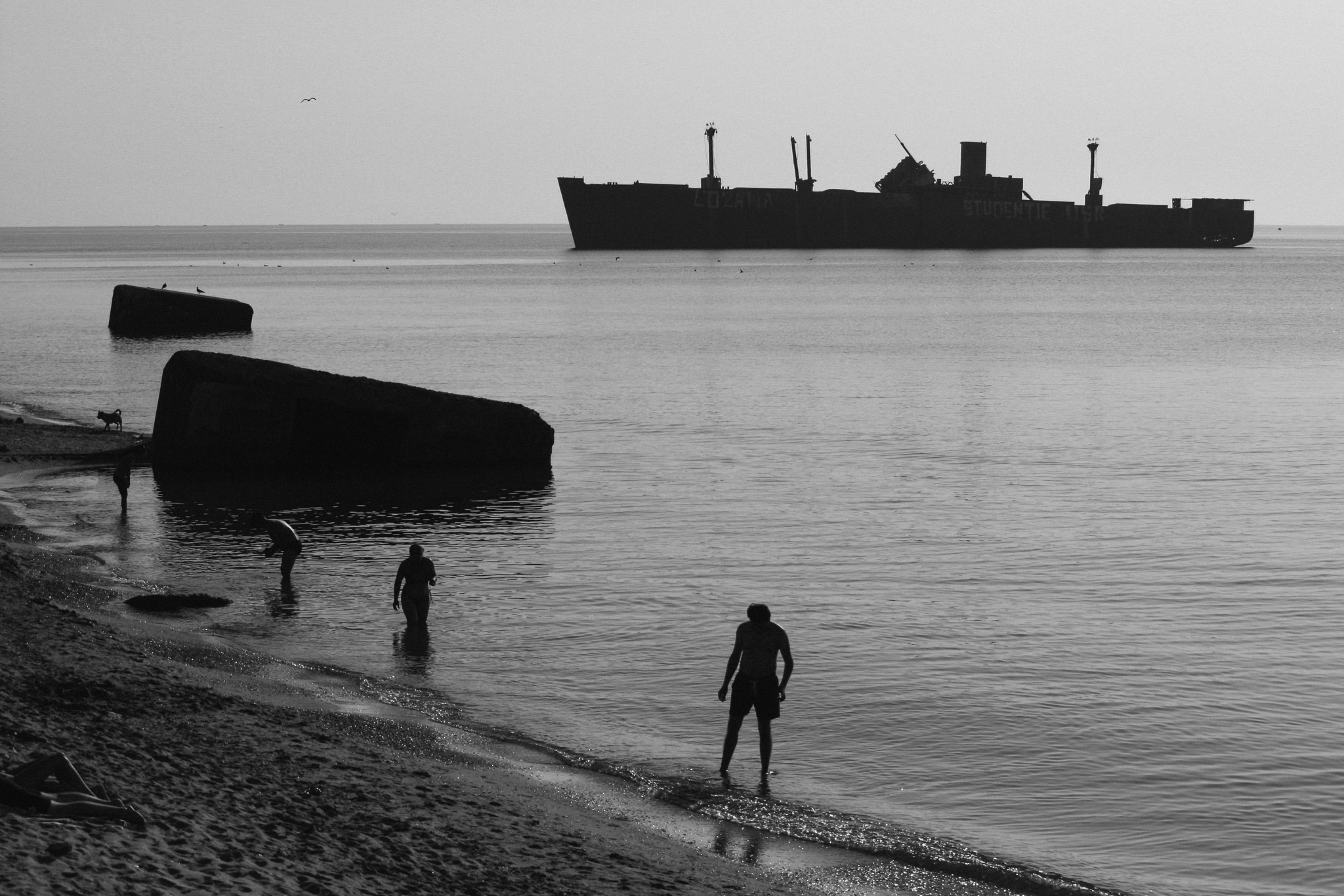 Canon EOS 400D (EOS Digital Rebel XTi / EOS Kiss Digital X) sample photo. Seaside stories #5 photography