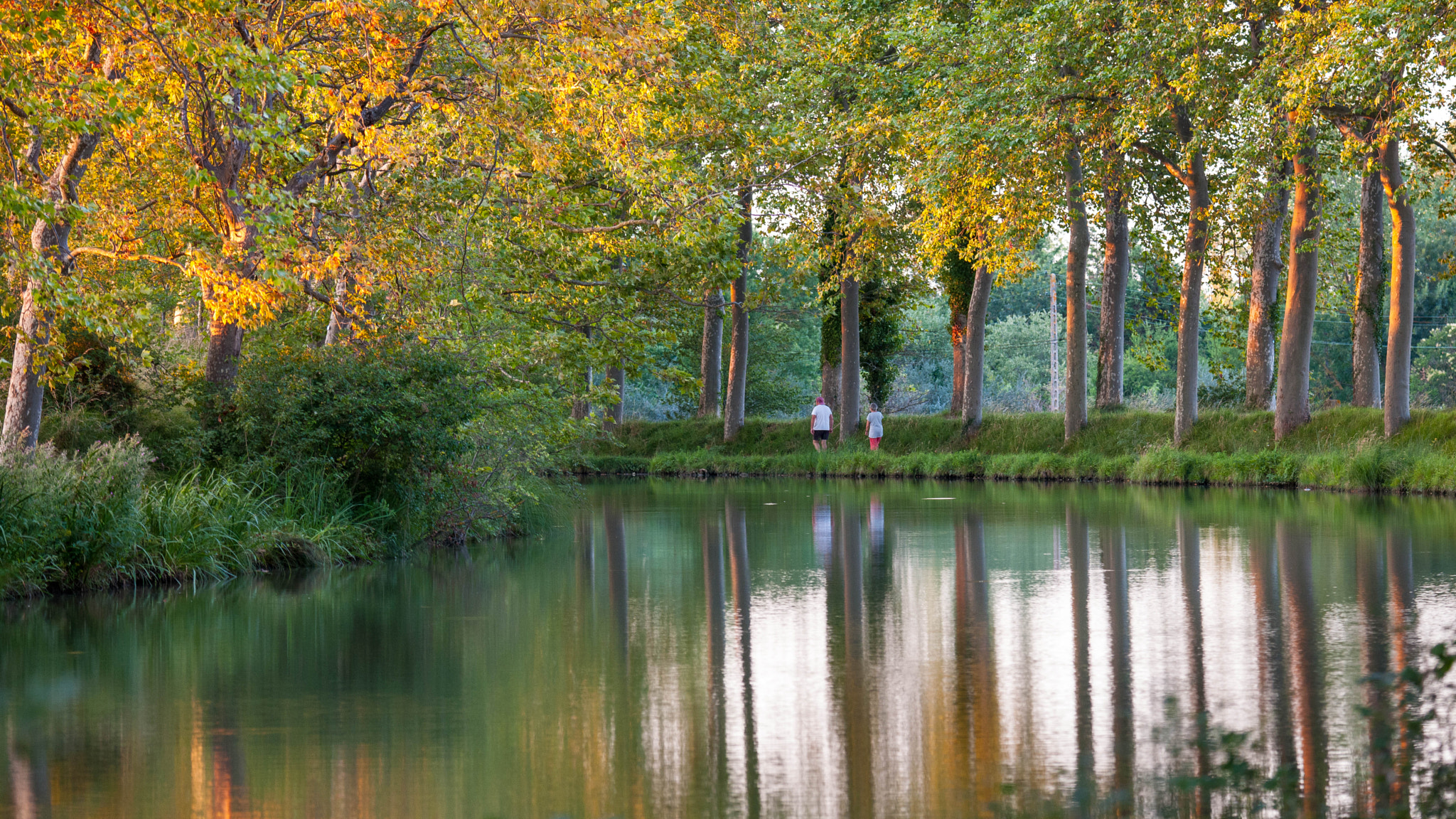 Nikon D3X sample photo. Au bord du canal du midi photography