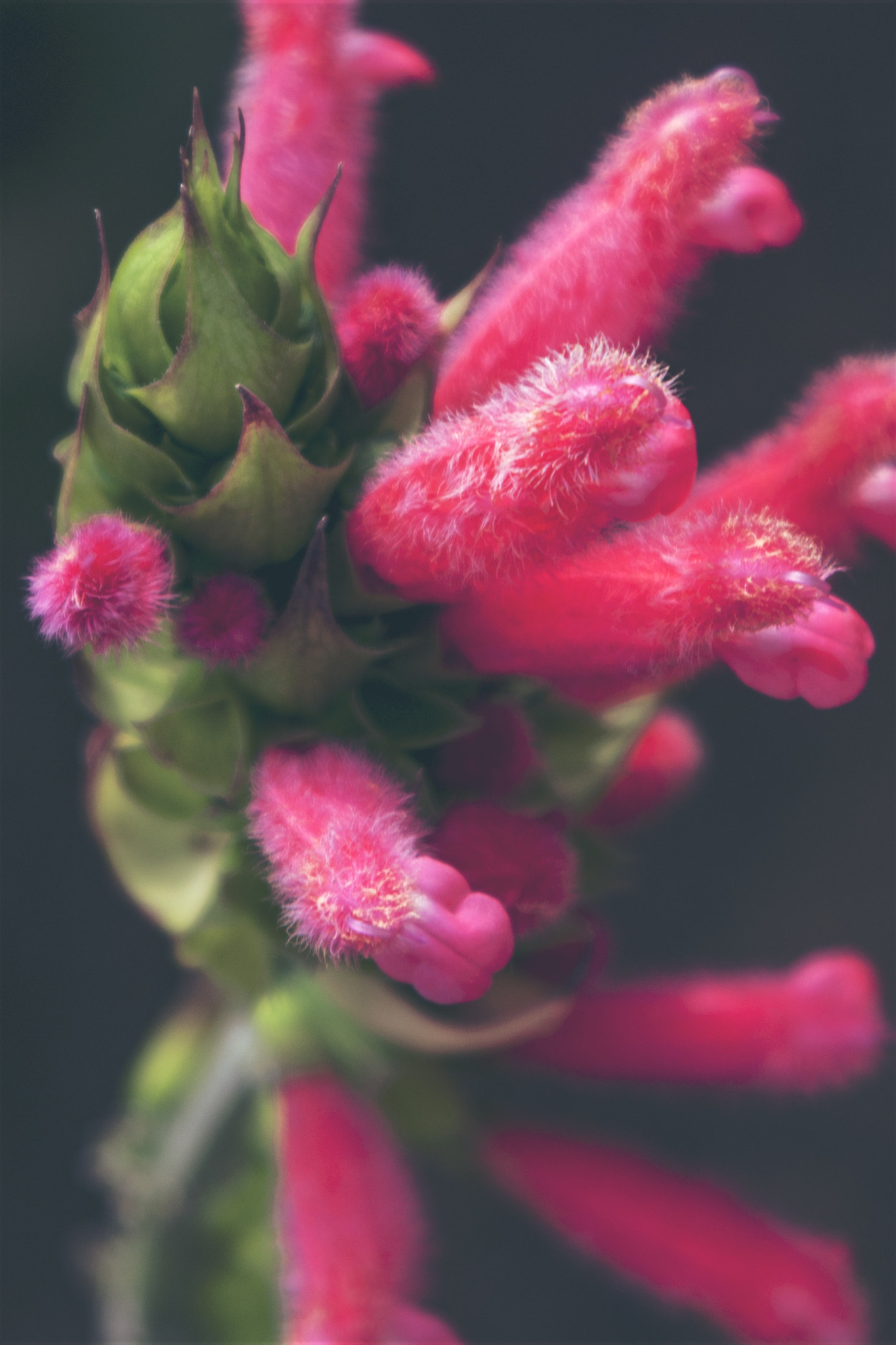 Canon EF 28-105mm f/3.5-4.5 USM sample photo. Beauty nature photography