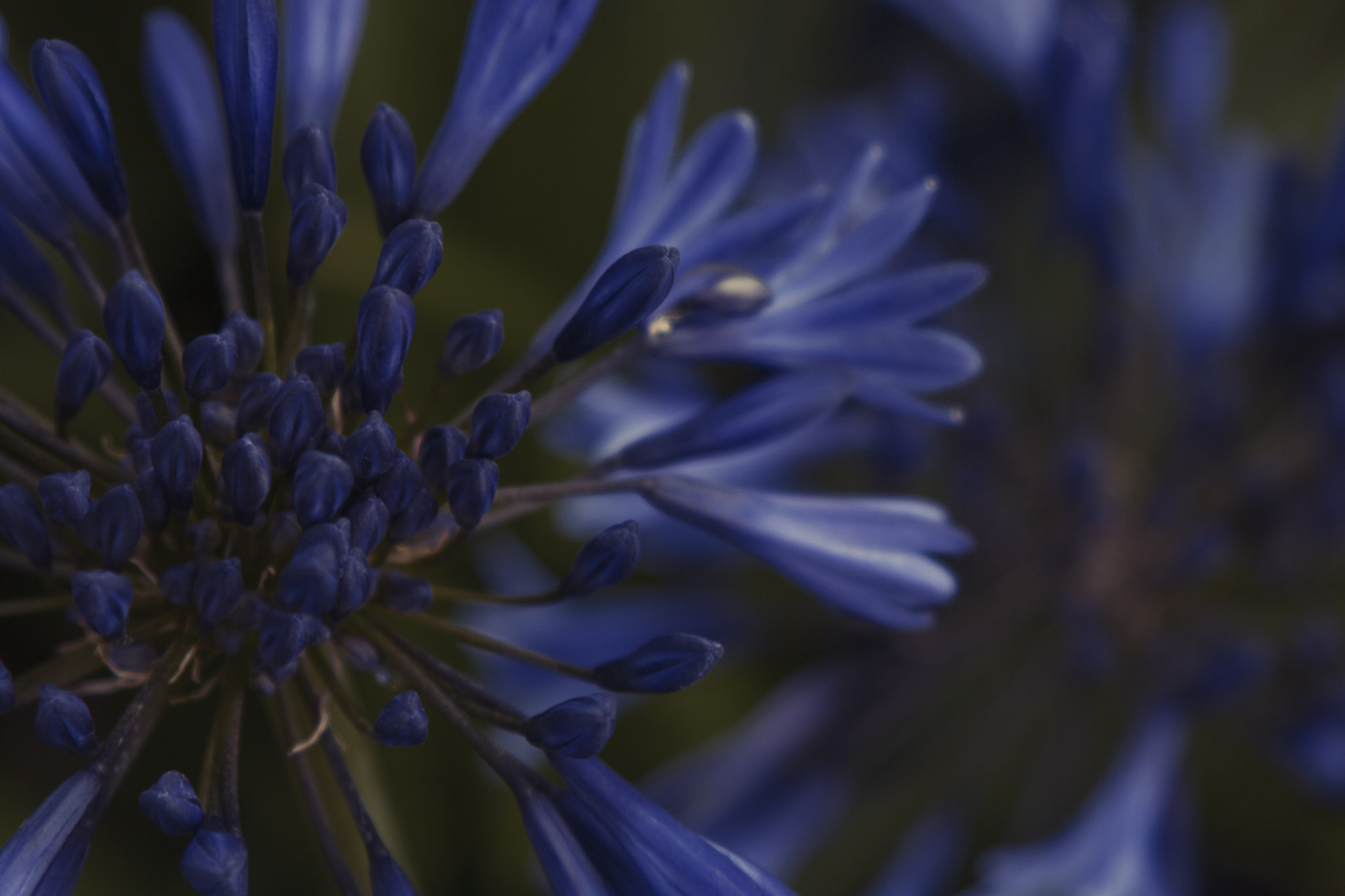 Canon EF 28-105mm f/3.5-4.5 USM sample photo. Beauty nature photography
