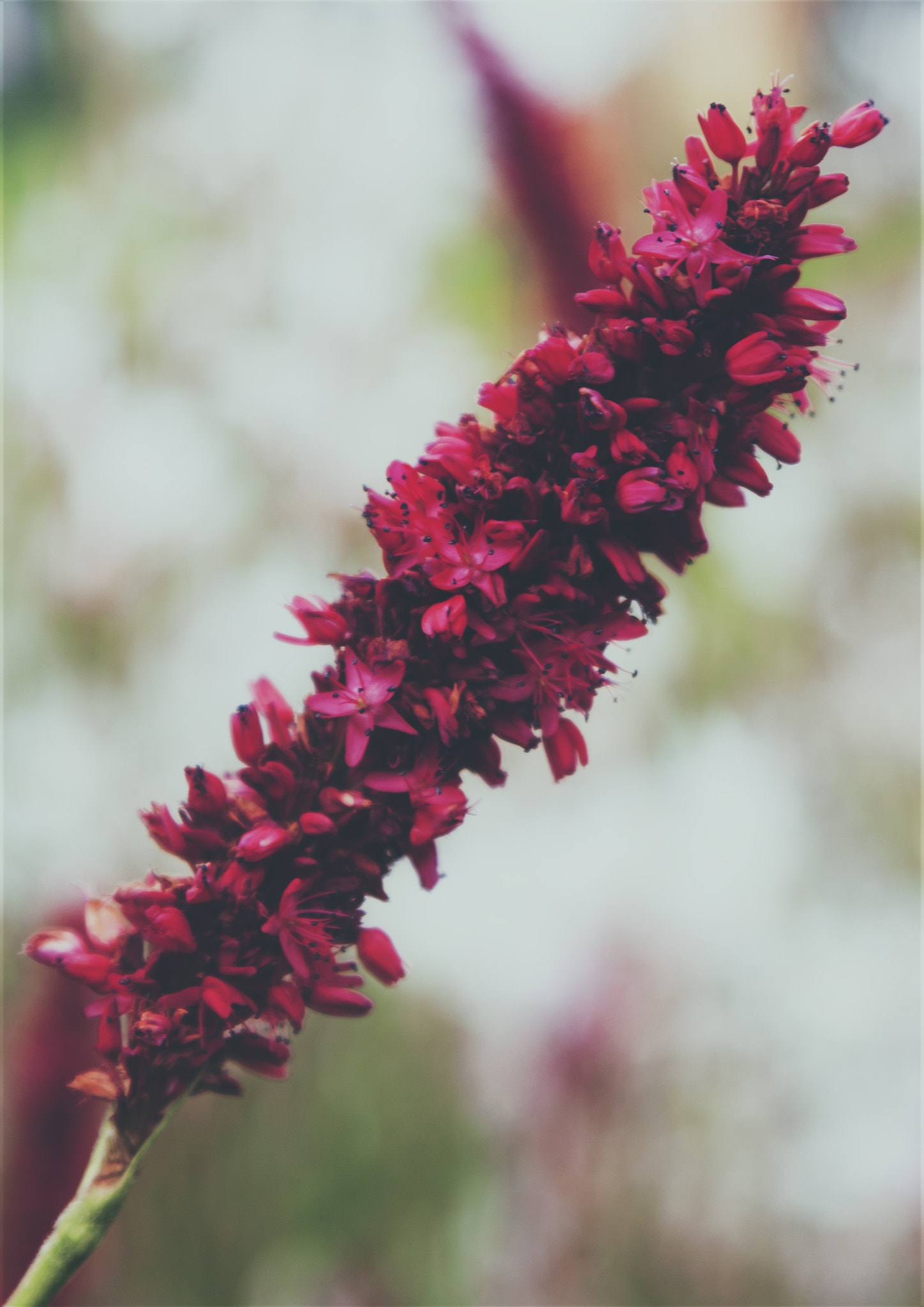 Canon EF 28-105mm f/3.5-4.5 USM sample photo. Beauty nature photography