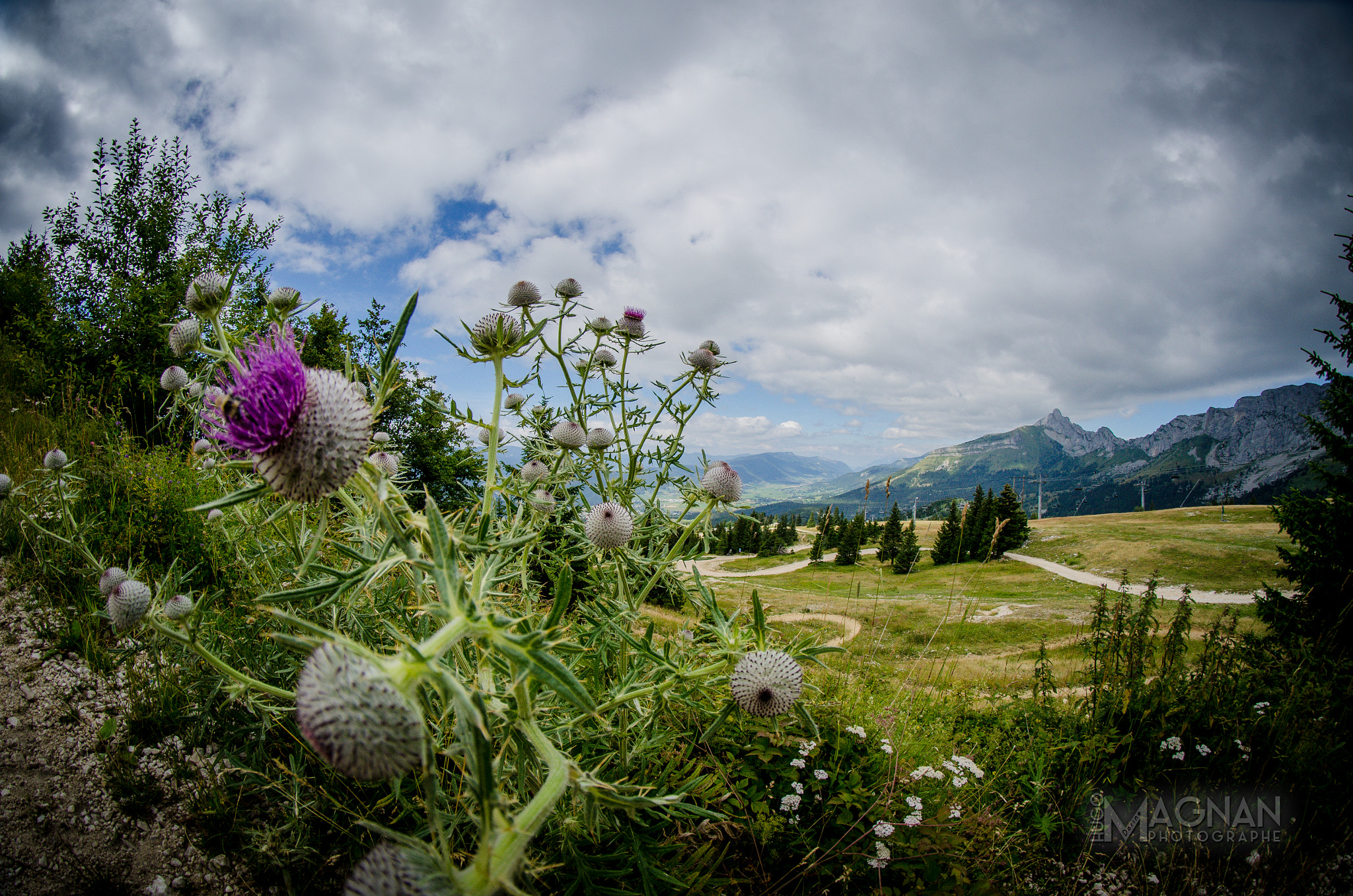 Samyang 8mm F3.5 Aspherical IF MC Fisheye sample photo. Chardon photography