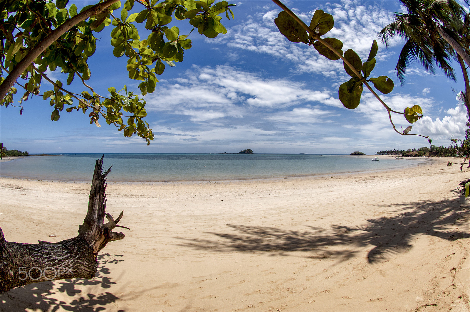 Nikon D2X sample photo. Andilana beach photography
