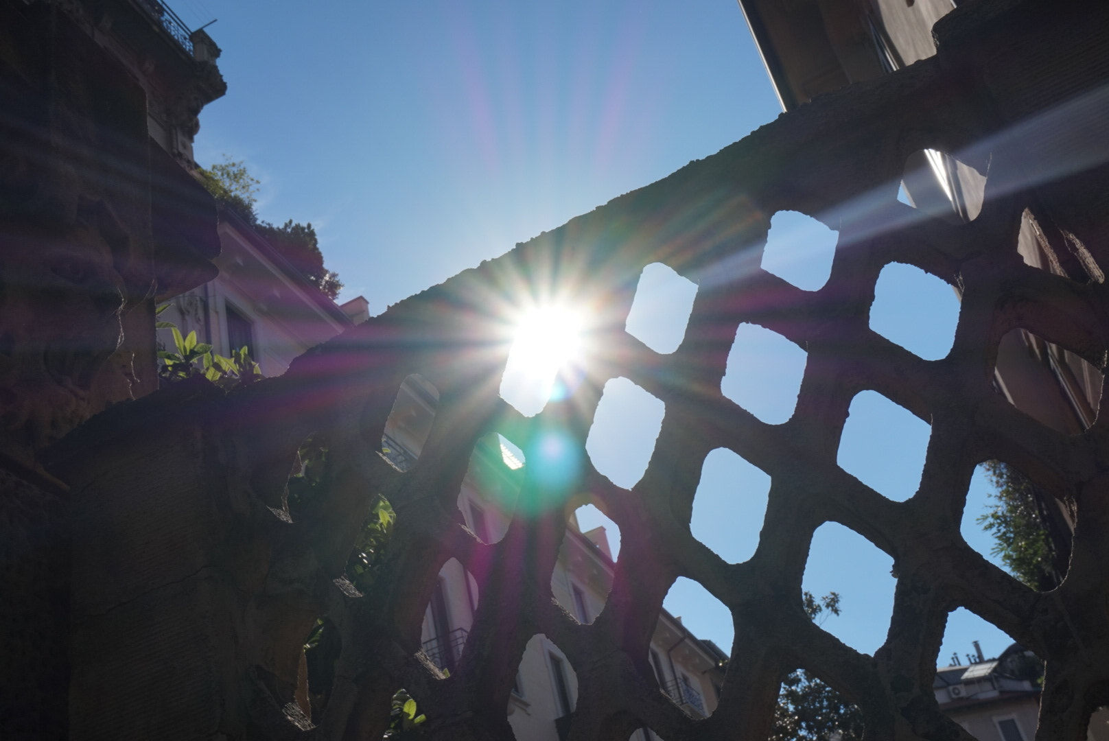 Sony Alpha QX1 sample photo. Sunny  photography