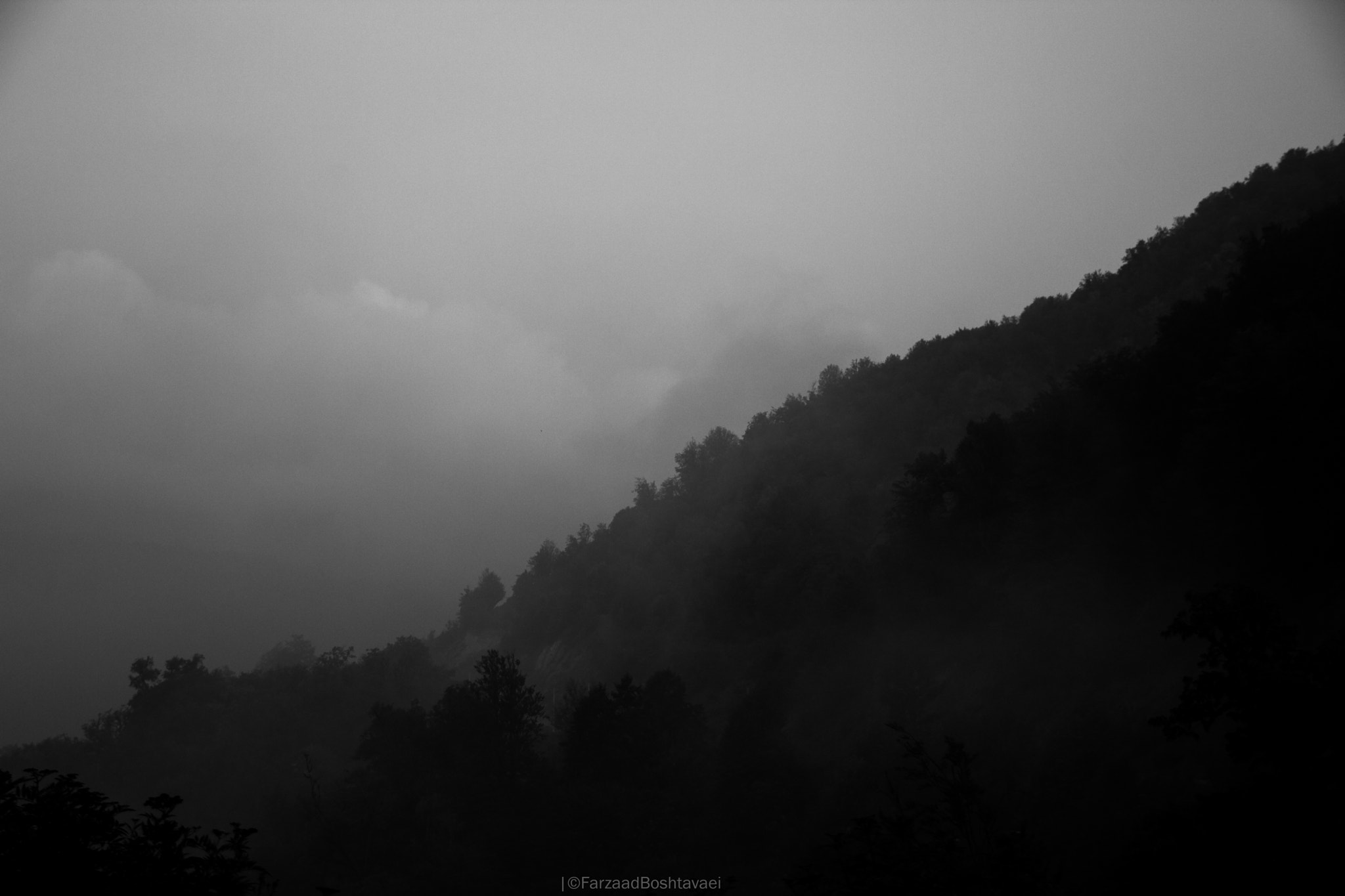 Canon EOS 550D (EOS Rebel T2i / EOS Kiss X4) sample photo. Drown photography