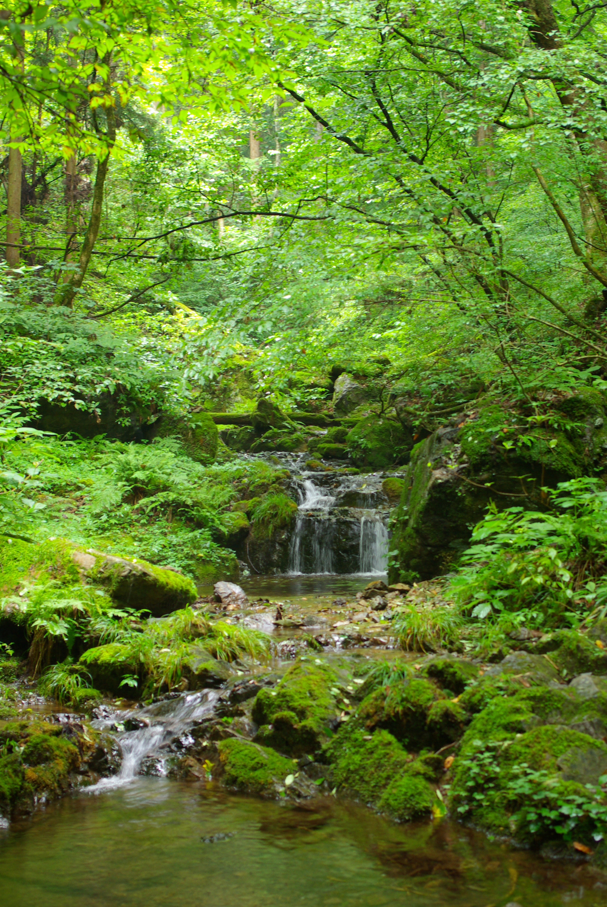 Pentax smc DA 35mm F2.4 AL sample photo. Rockgarden photography