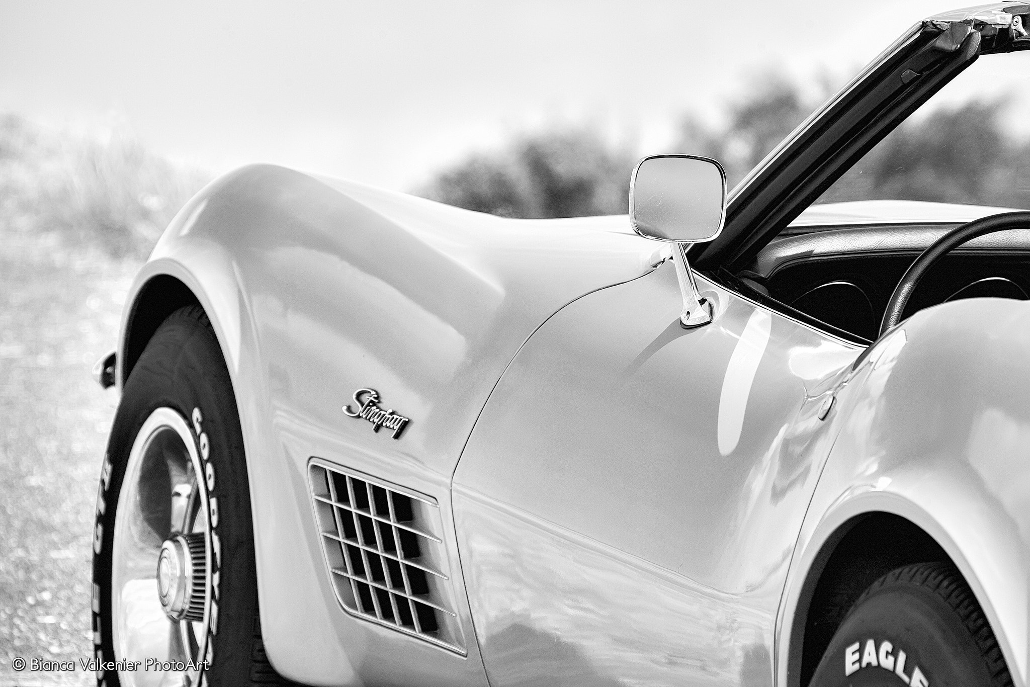 Canon EF 28-300mm F3.5-5.6L IS USM sample photo. Chevrolet corvette stingray photography