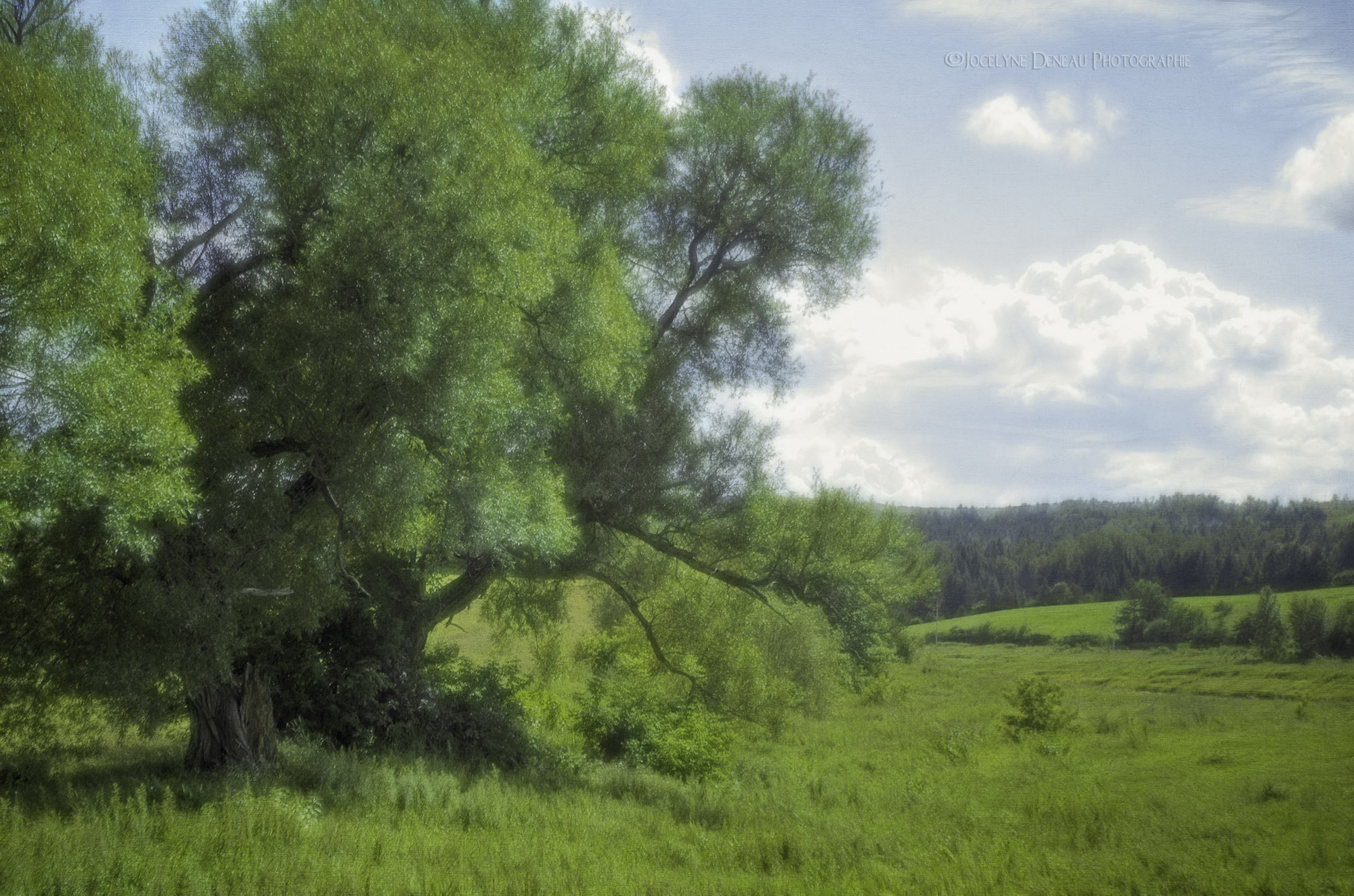 smc PENTAX-DA L 18-55mm F3.5-5.6 sample photo. A quiet spot photography