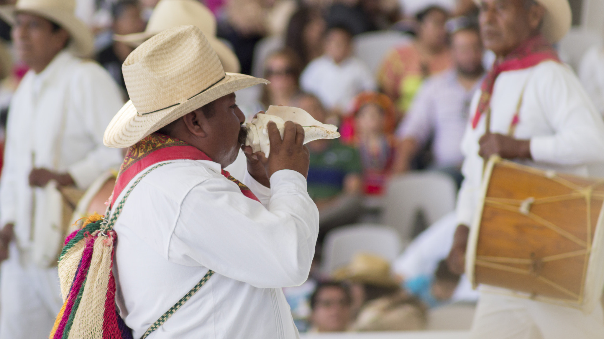 Sony 75-300mm F4.5-5.6 sample photo. El llamado a la fiesta. photography