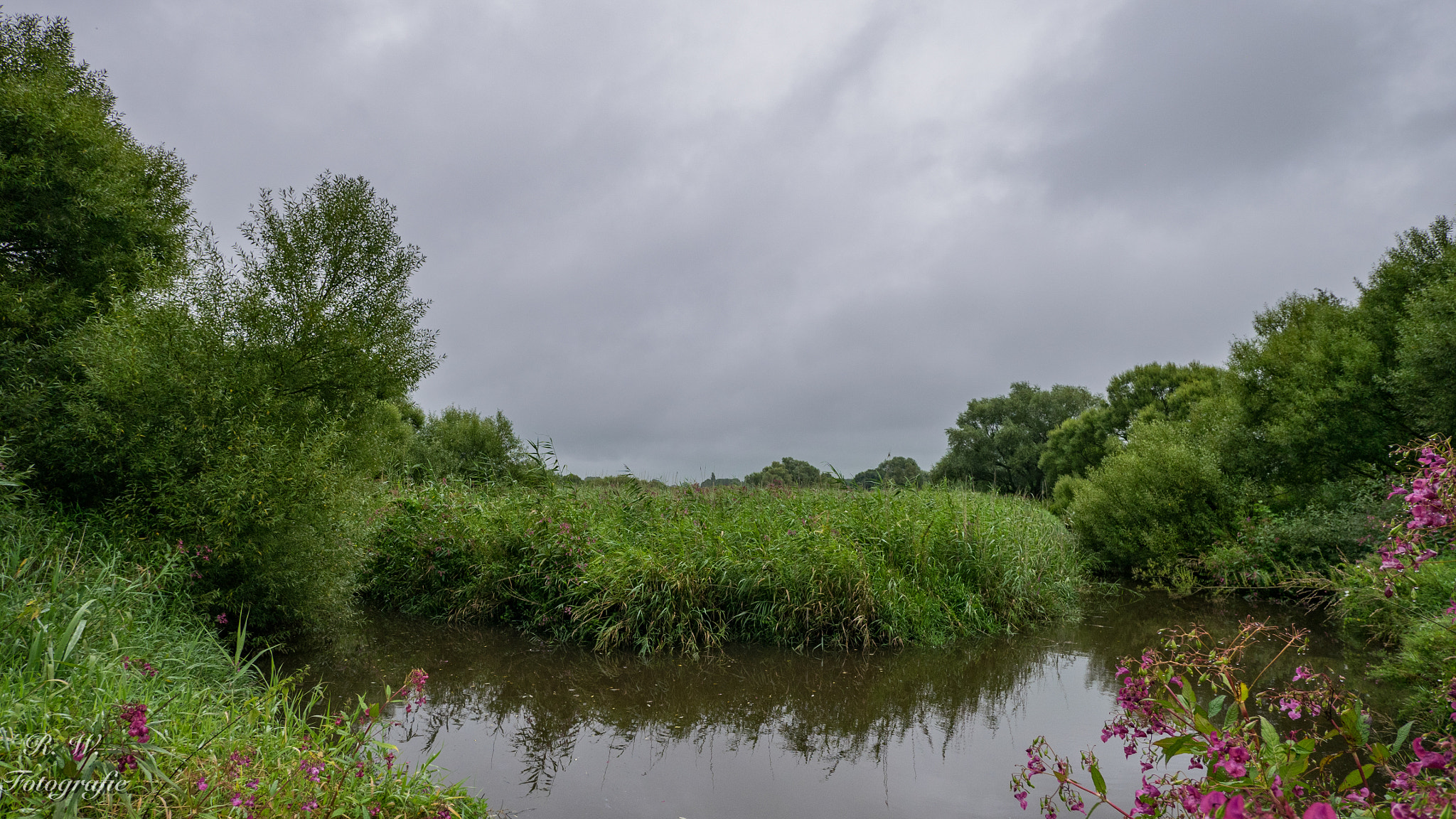 Panasonic Lumix DMC-GM1 + Panasonic Lumix G Vario 7-14mm F4 ASPH sample photo. Sommer 2016 photography