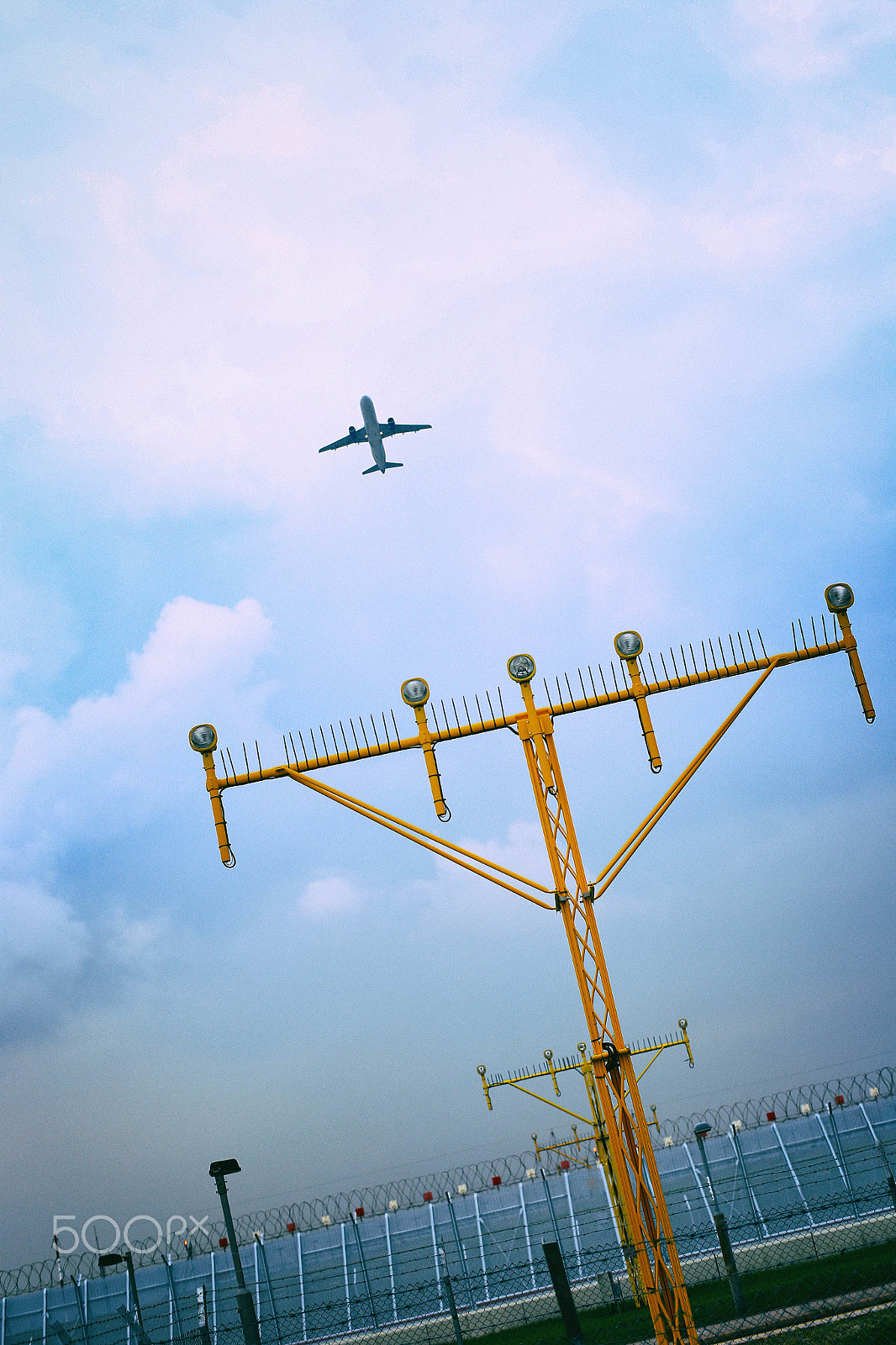 ZEISS Planar T* 50mm F1.4 sample photo. Flying dream photography