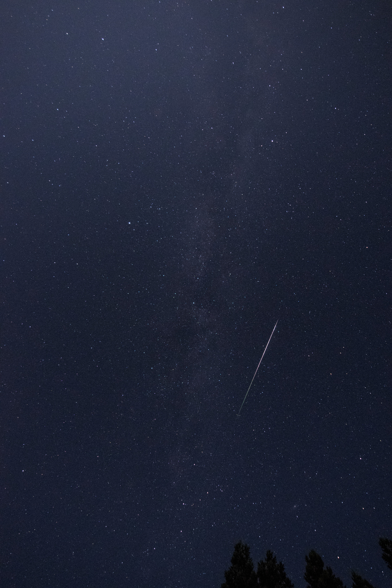 Sigma 8-16mm F4.5-5.6 DC HSM sample photo. Shooting star photography