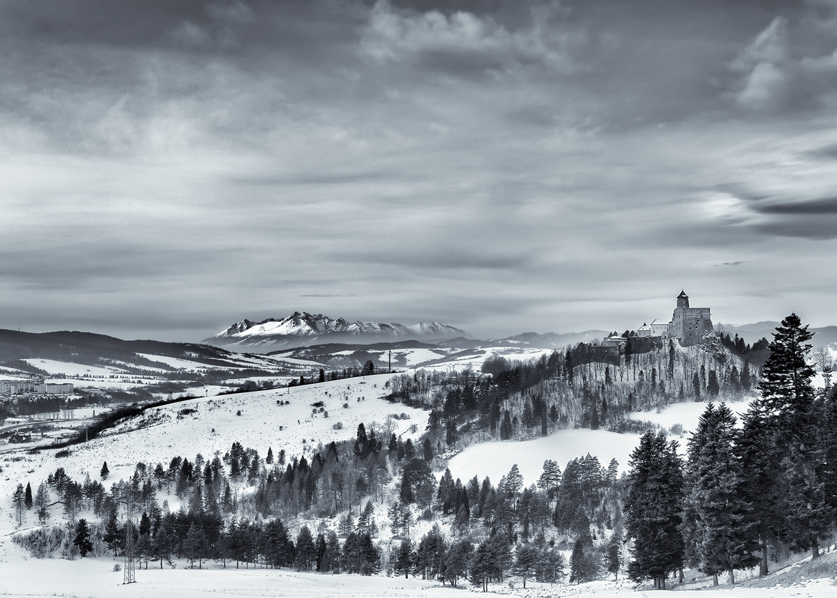 Nikon D200 sample photo. Winter in slovakia photography