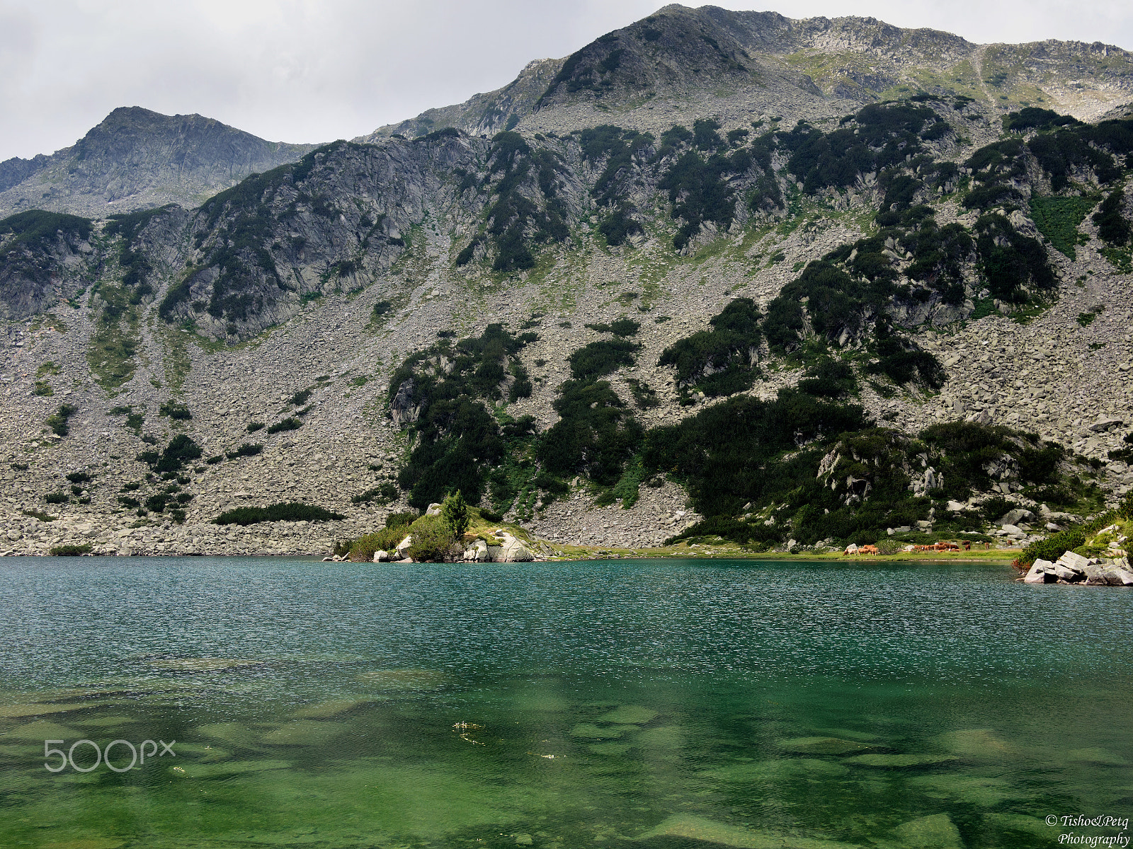 Olympus OM-D E-M5 + LUMIX G 20/F1.7 II sample photo. The charm of pirin 15 photography