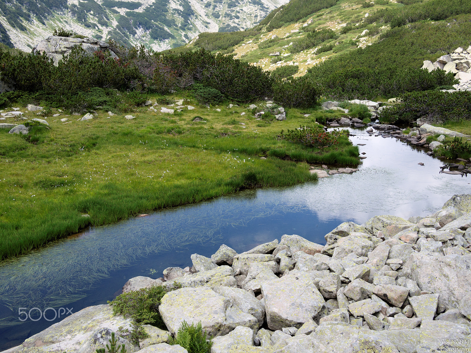 Olympus OM-D E-M5 + LUMIX G 20/F1.7 II sample photo. The charm of pirin 17 photography