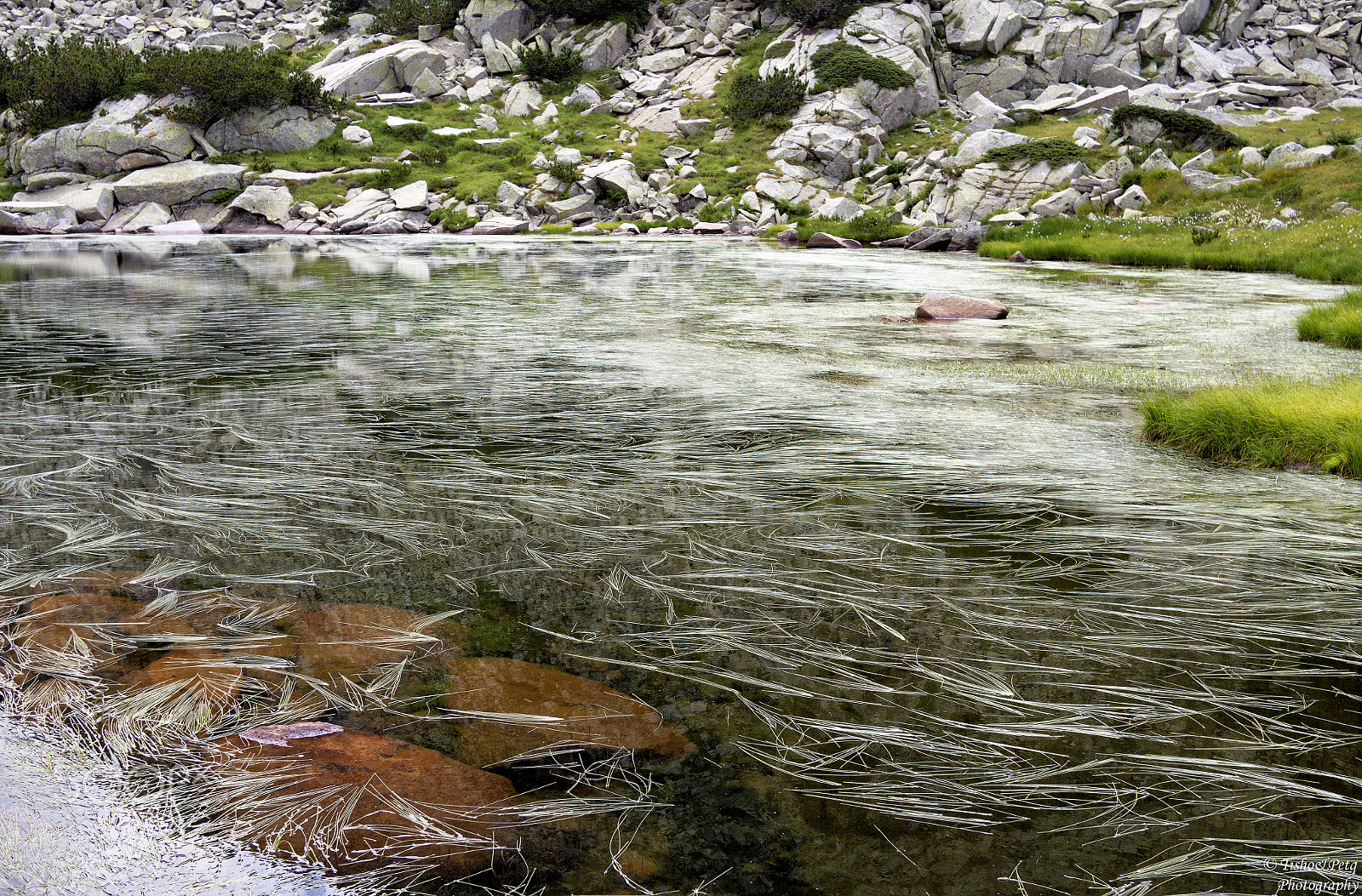 Olympus OM-D E-M5 + LUMIX G 20/F1.7 II sample photo. The charm of pirin 18 photography