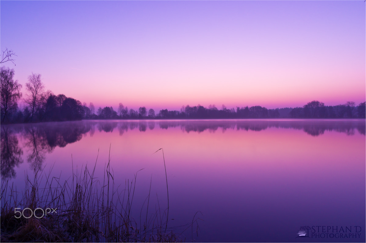 Sony SLT-A55 (SLT-A55V) sample photo. Geisenfelder weiher photography