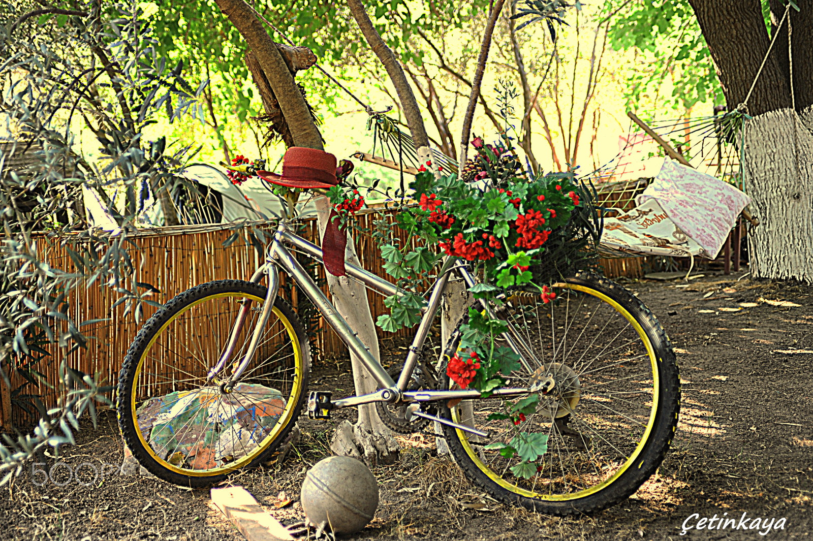Nikon D3 sample photo. A vacation day photography