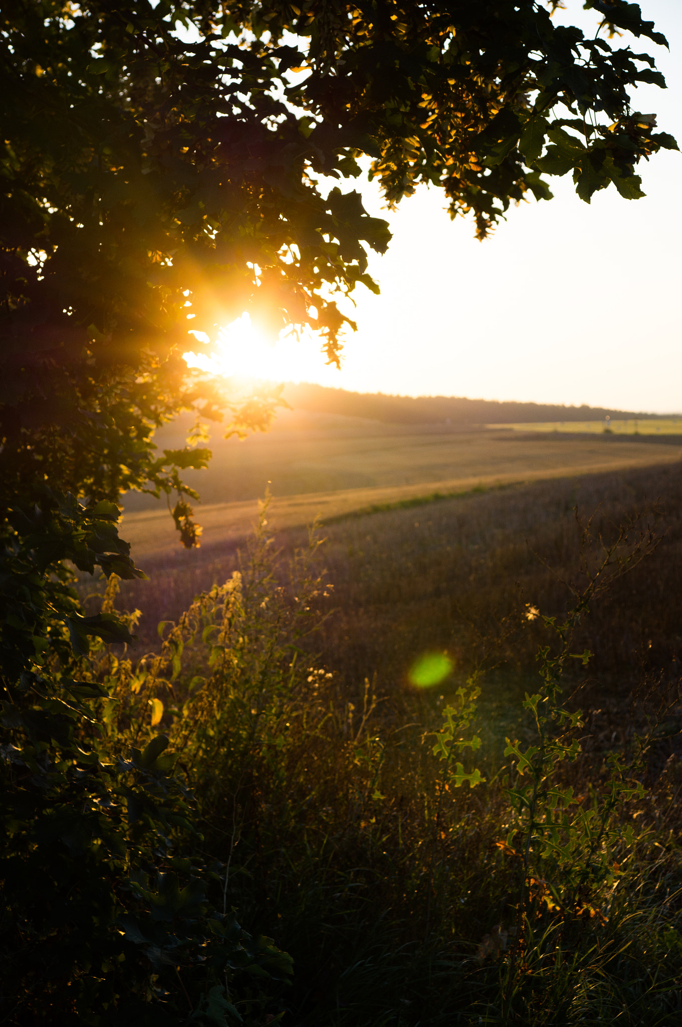 Sony SLT-A57 sample photo. Sunrise at steinrücken photography