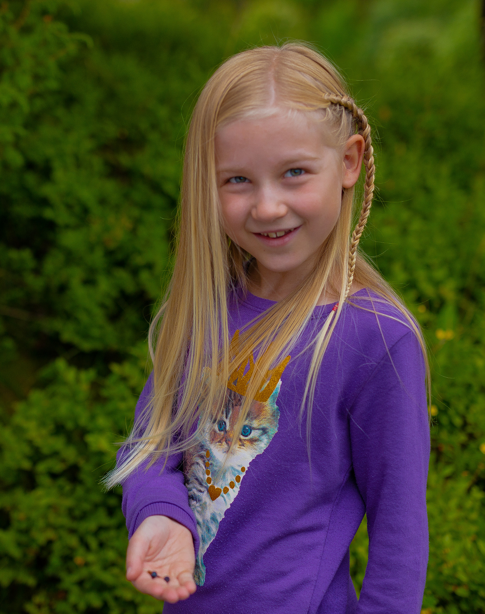 Sigma 50mm F1.4 EX DG HSM sample photo. In the blueberry hill photography
